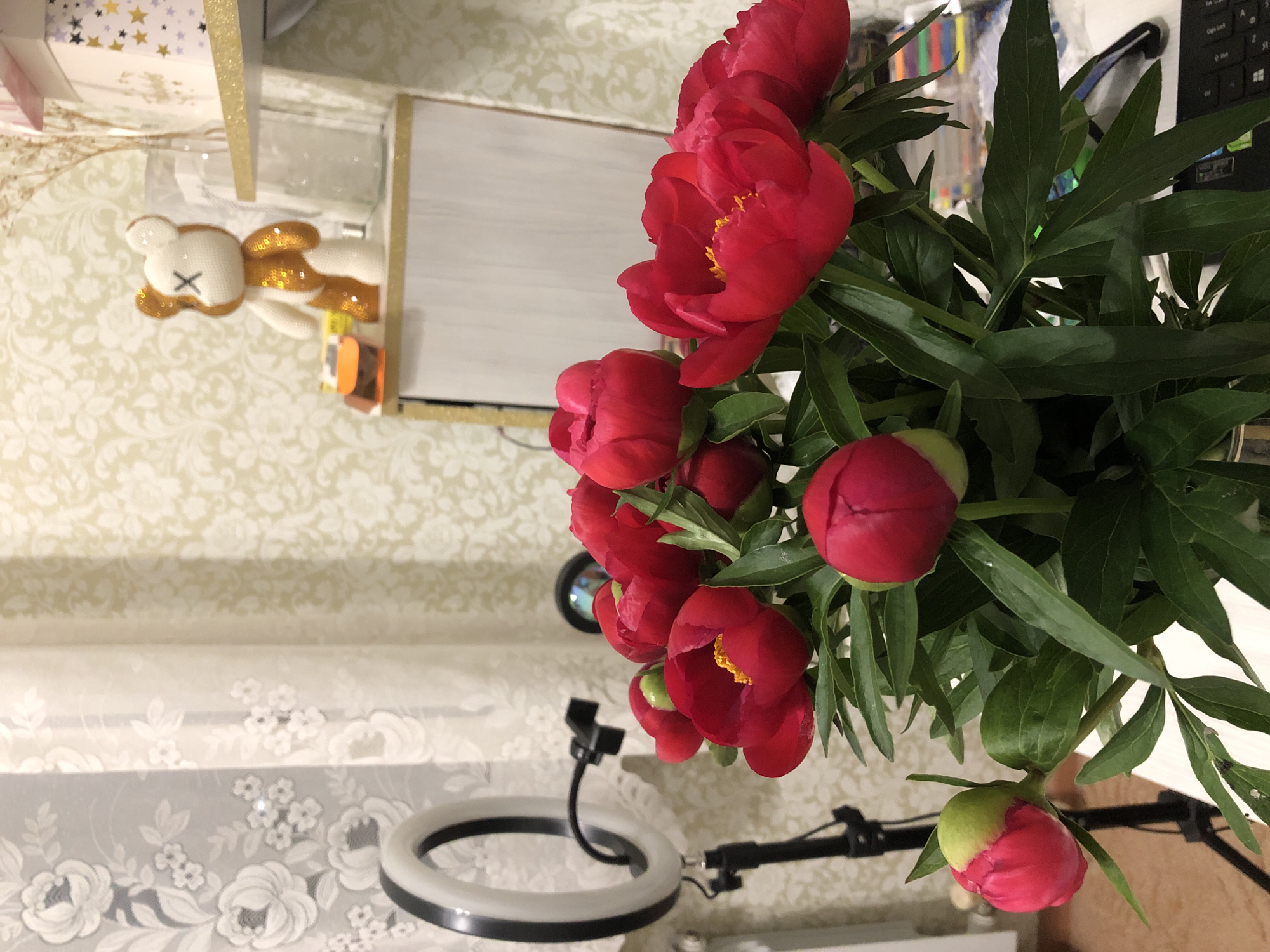 This image captures an indoor scene within a room in the city of Noviy, Russia. The central focus is a bouquet of deep red peonies, many of which are open to reveal yellow stamens, while several are still in tight bud form, some partially covered by green sepals. The flowers are arranged with ample green leaves and rest on a light-colored flat surface, likely a desk or table.
To the left, an illuminated white LED ring light, mounted on a black tripod stand, stands prominently. A flexible black arm extends from the stand, terminating in a clamp mechanism. Behind the ring light and to its left, a white translucent curtain with a floral pattern, featuring large white roses, is visible.
The background wall on the right side of the image is covered in a light-toned wallpaper with a subtle, repeating floral or damask pattern. A white shelving unit, accented with a thin gold-colored trim, holds several decorative items. A distinctive teddy bear-like figurine, half white crocheted and half covered in gold sequins, with a black 'X' stitched over its left eye, is positioned on a shelf. Behind this figurine, a clear glass vase contains dried botanical material. Partially visible on an upper shelf to the right is a white box adorned with gold star patterns. A small orange object also sits on the shelf below the bear.
In the bottom right of the frame, a segment of a black computer keyboard is visible on the surface, alongside various colorful stationery items, possibly markers or pens, located behind the flower bouquet. The scene is brightly lit by artificial light sources, including the visible ring light. No individuals are present, and no actions are occurring.