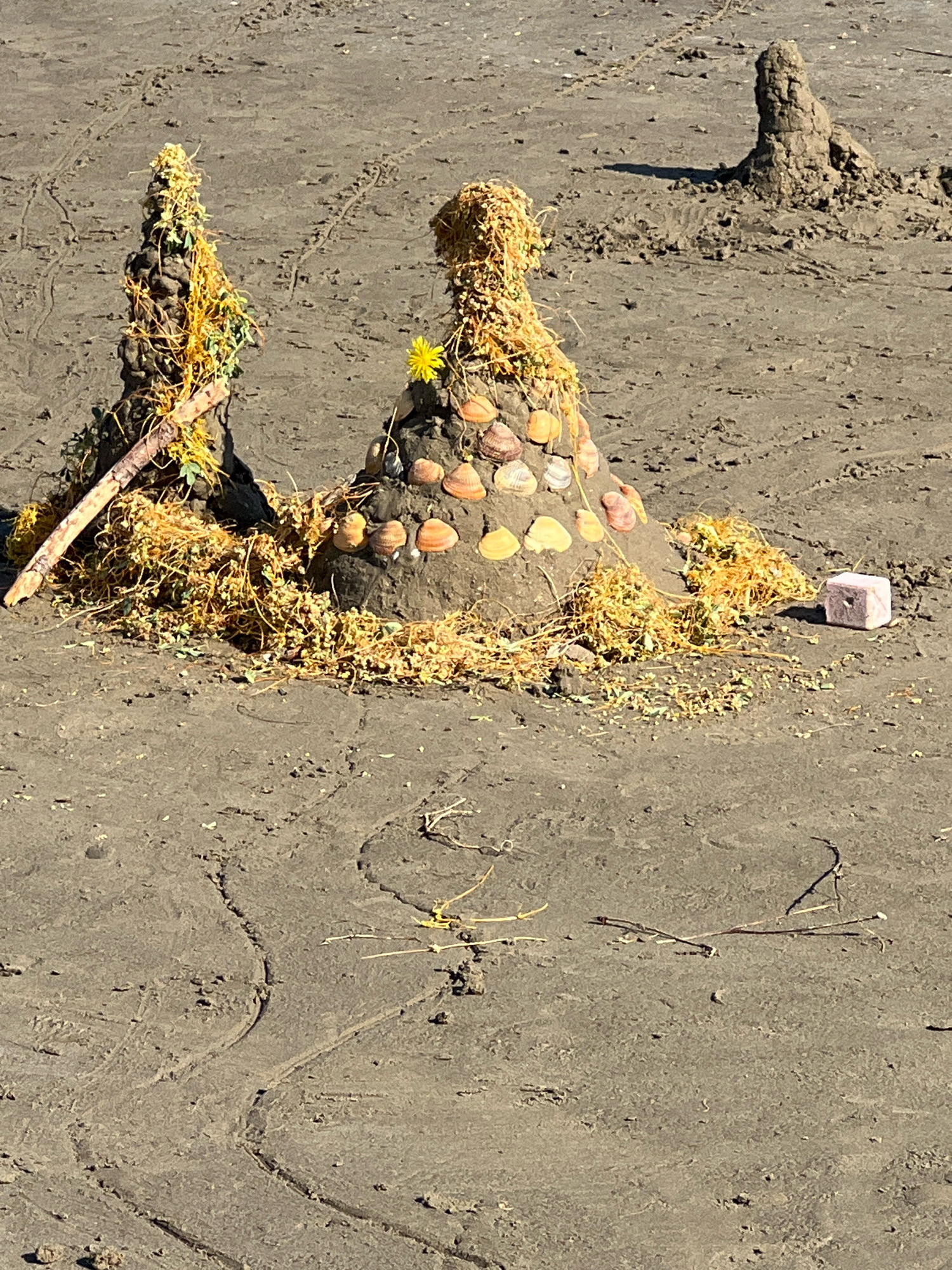 The image depicts a sandy beach with two sandcastles decorated with shells and dried grass. The sandcastles are cone-shaped, with the left one appearing larger and adorned with a stick and more vegetation. The right sandcastle is smaller and features a single yellow flower on top. In the background, another tall, rough sand structure stands, casting a shadow on the beach. A small, pinkish-white cube-shaped object rests to the right of the sandcastles. The beach itself is textured with dried organic matter and tracks, possibly from small animals or waves. The scene is set on a sunny day, indicated by the shadows. The location is identified as the city of Kaspiysk, Russia. There are no people visible in the image.