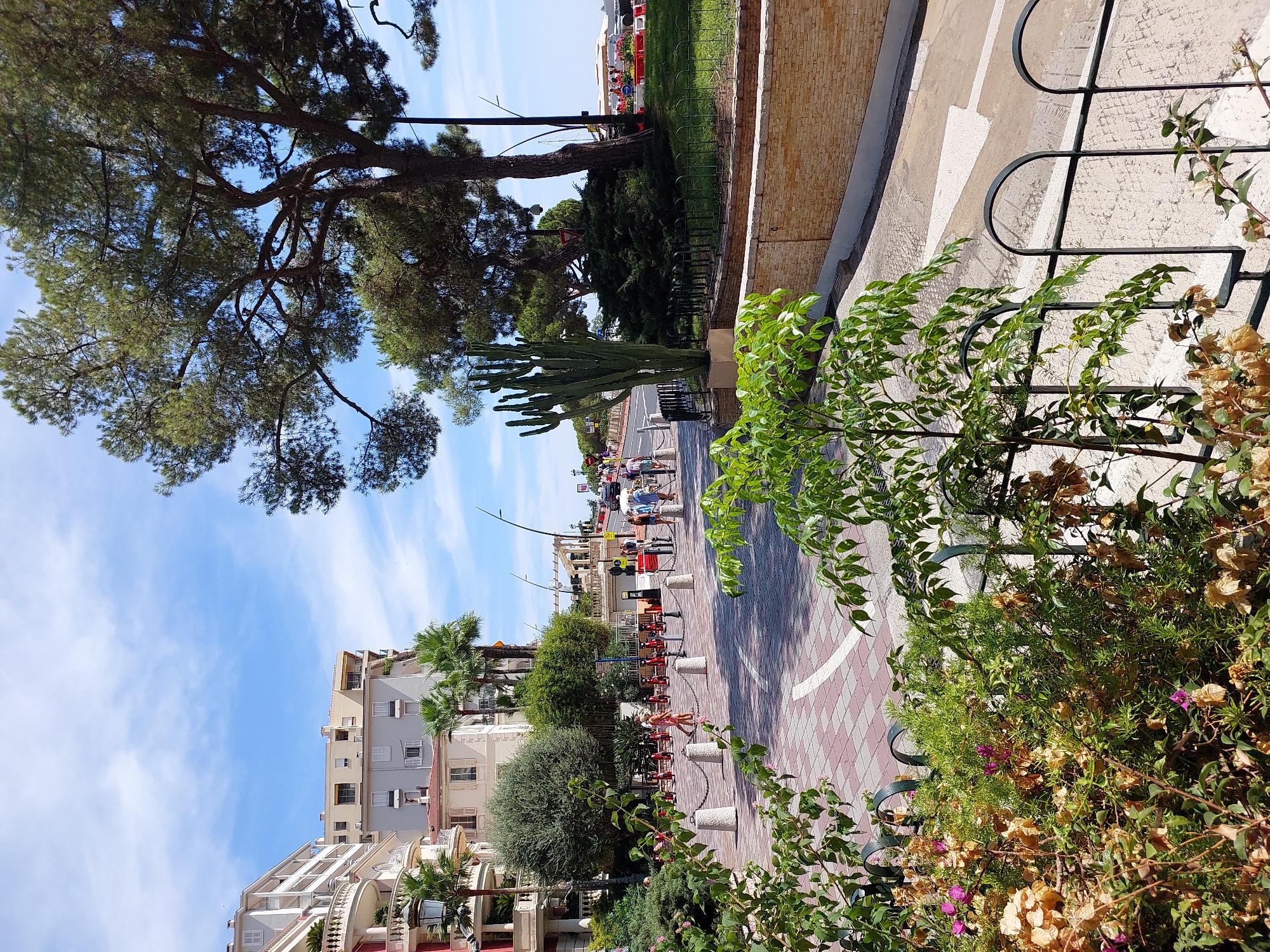 This image depicts a sun-drenched street scene in Monaco, likely near the harbor or a coastal road, given the palm trees and Mediterranean-style architecture. In the foreground, lush green foliage and some dried flowers are visible behind a black wrought-iron fence. Beyond the fence, a patterned walkway, composed of red and white rectangular tiles, leads towards a street. Along the edge of the walkway, a row of red electric scooters is parked.
Further down the street, several people are walking and standing. The buildings on the left are tall and multi-story, with balconies and arched windows, characteristic of Monegasque architecture. Tall palm trees and other greenery are interspersed between the buildings and along the street. A large pine tree dominates the right side of the frame, its branches reaching towards the bright blue sky dotted with white clouds. A tall, slender cactus stands in a planter to the right of the pine tree, adding a touch of arid flora to the scene.
The street itself appears to be paved and is bordered by a low, textured stone wall on the right. A white arrow is painted on the road, indicating a turn or direction. In the background, more buildings and trees are visible, and further in the distance, hints of the sea or harbor area can be discerned, with some boats or yachts and a few people relaxing near the water. The overall atmosphere is one of a vibrant, warm, and pleasant urban environment.