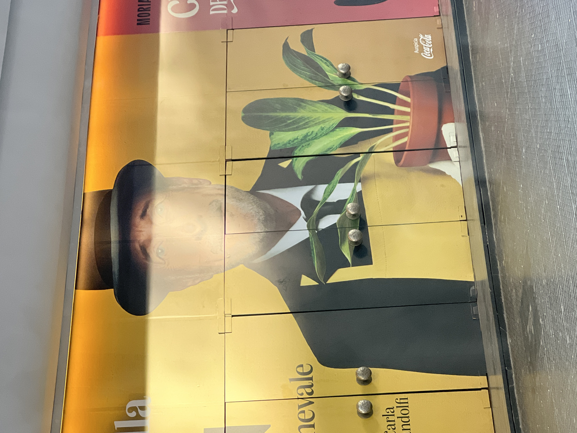 A photograph shows a set of cabinets or lockers featuring a collage-like image of a man in a fedora, a houseplant in a pot, and the Coca-Cola logo. The words "Carla andolfi" and "nevale" are visible near the bottom of the image, and "MORIA" and "DE" are visible at the top. The background is a flat surface, possibly a wall or floor. The location is likely Buenos Aires, Argentina, as indicated by the presence of the Coca-Cola "Auspicia" logo in Spanish.