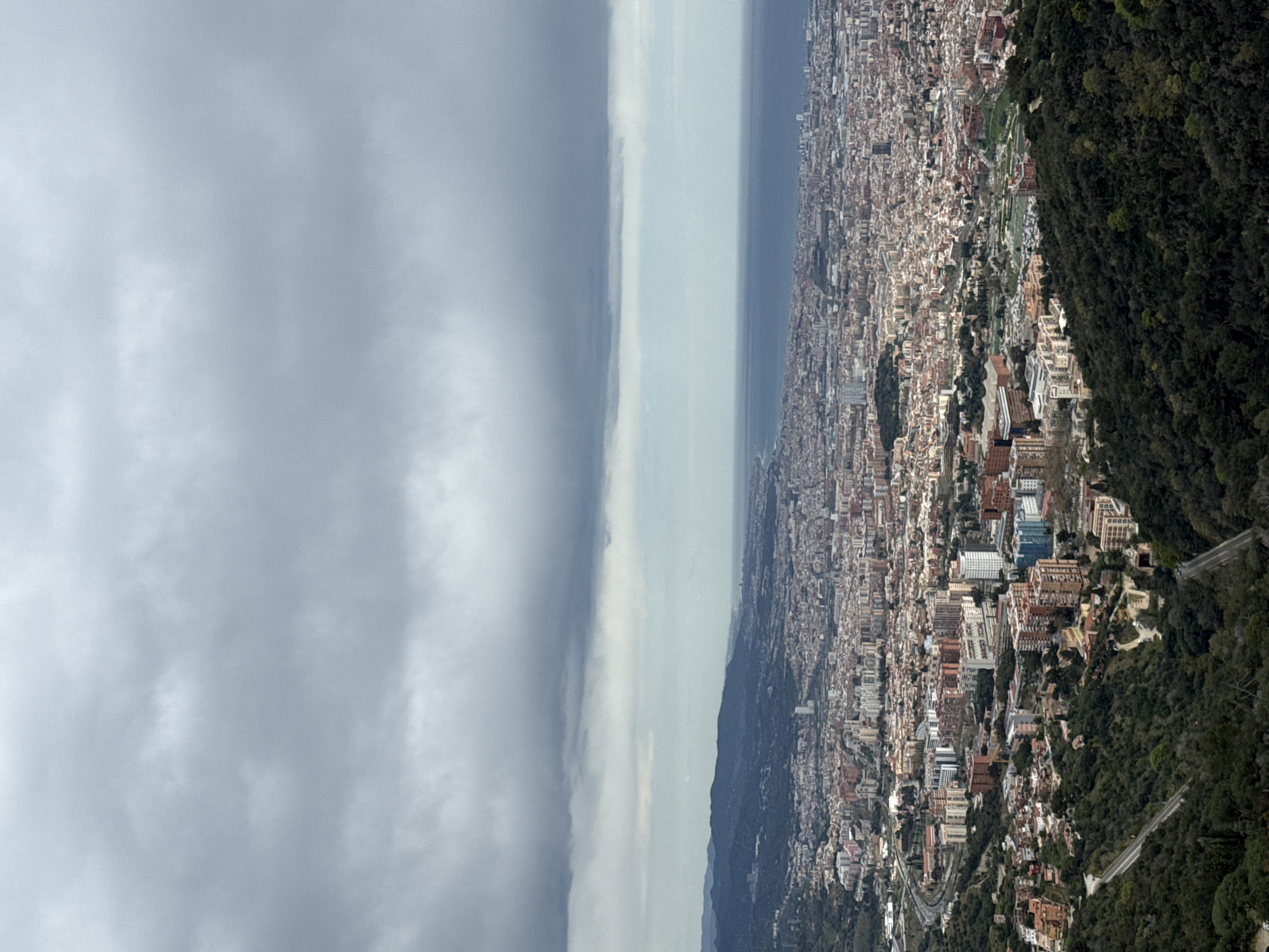 The image depicts an aerial view of Barcelona, Spain, from a high vantage point, likely Tibidabo mountain. The city stretches from the shoreline inland, exhibiting a dense urban landscape with numerous buildings. The Mediterranean Sea is visible in the distance, separated from the city by a narrow strip of coastline. The left side of the image is dominated by a grey, overcast sky with dense cloud cover. Vegetation, particularly trees and shrubs, is visible along the slopes of Tibidabo, contrasting with the urban sprawl. A winding road cuts through the forested area. No people or specific actions are evident in the image.