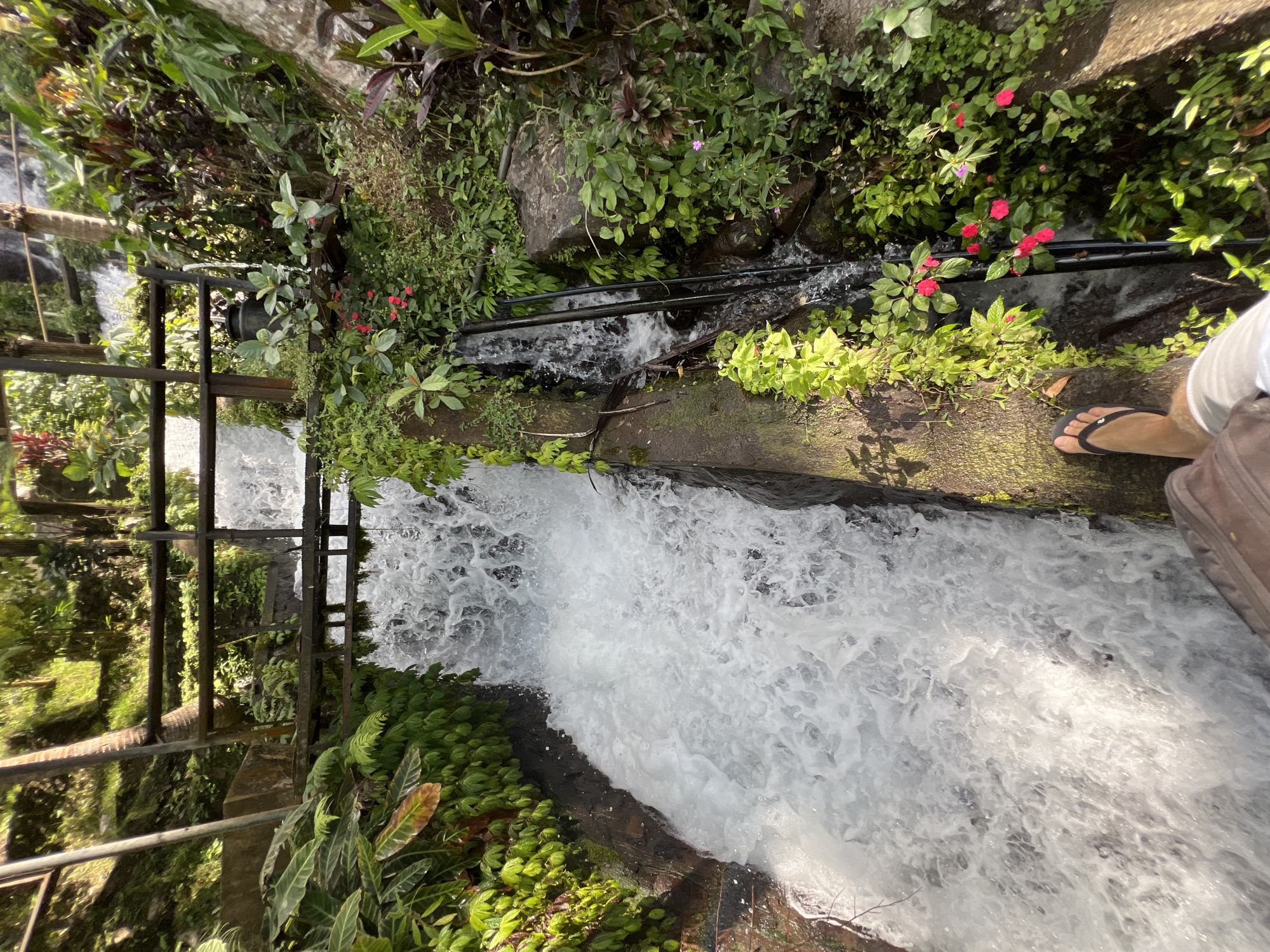 The image shows a person's legs and feet, wearing flip-flops and light-colored pants, standing on the edge of a water channel. The channel is filled with rapidly flowing, white water. The channel is lined with rough, dark stones and concrete, overgrown with lush green vegetation and some small red flowers. A wooden structure, possibly a bridge or walkway, is visible above the water further up the channel. The scene appears to be outdoors in a natural or semi-natural setting, with sunlight filtering through trees in the background. The location is identified as Sukasada, Indonesia, suggesting a tropical environment with abundant plant life.