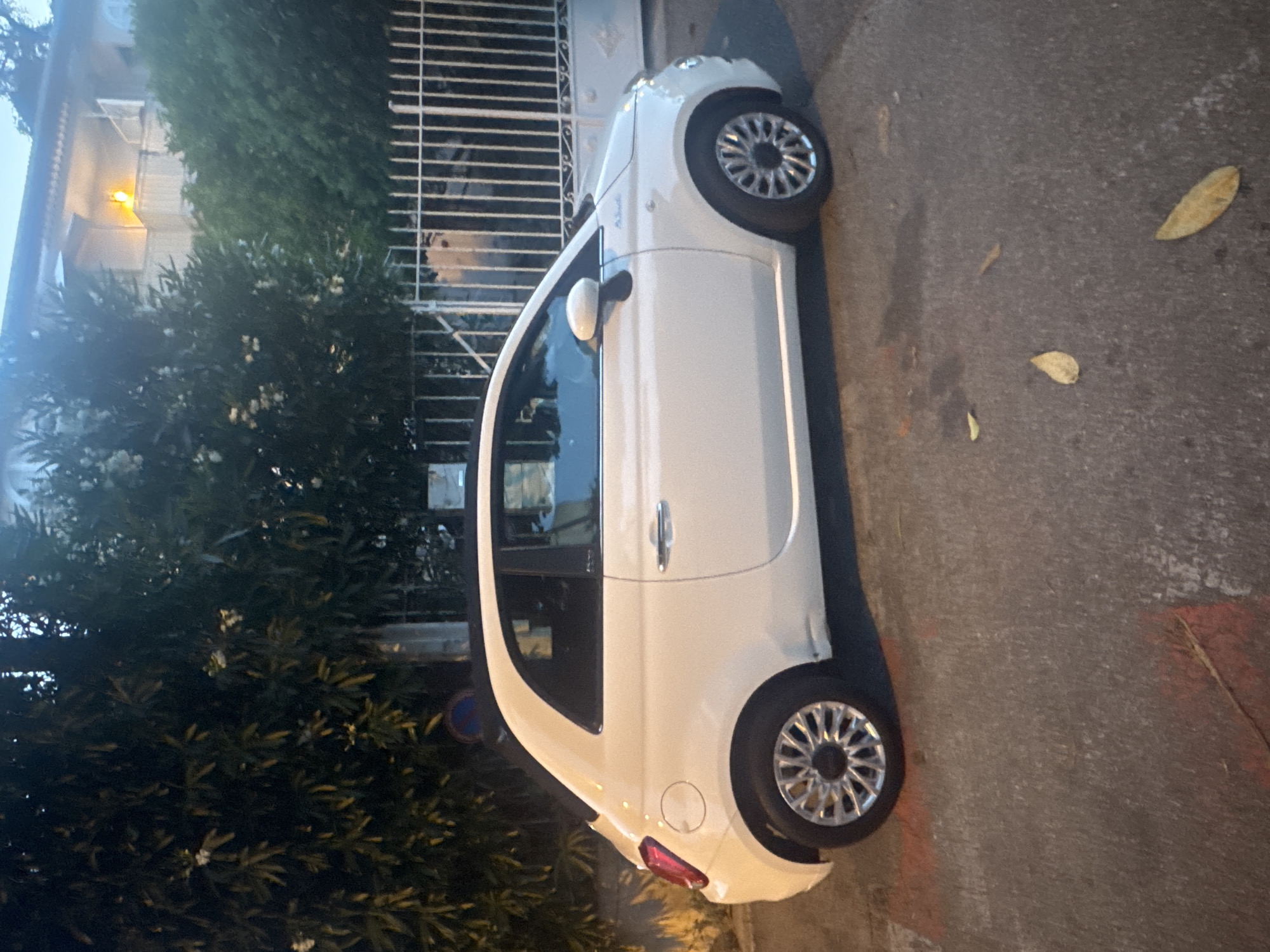 In Nice, France, a white Fiat 500 is parked on a street. The car is positioned facing left, with its side visible. The vehicle has a sunroof open and a silver alloy wheel on the front wheel. The background features a building with a balcony and an illuminated light fixture. A white metal fence runs along the property line. Lush green foliage from trees is visible, with some white flowers interspersed. The street is paved and shows some signs of wear. Fallen leaves are scattered on the ground around the car. The overall lighting suggests it is evening or dusk.