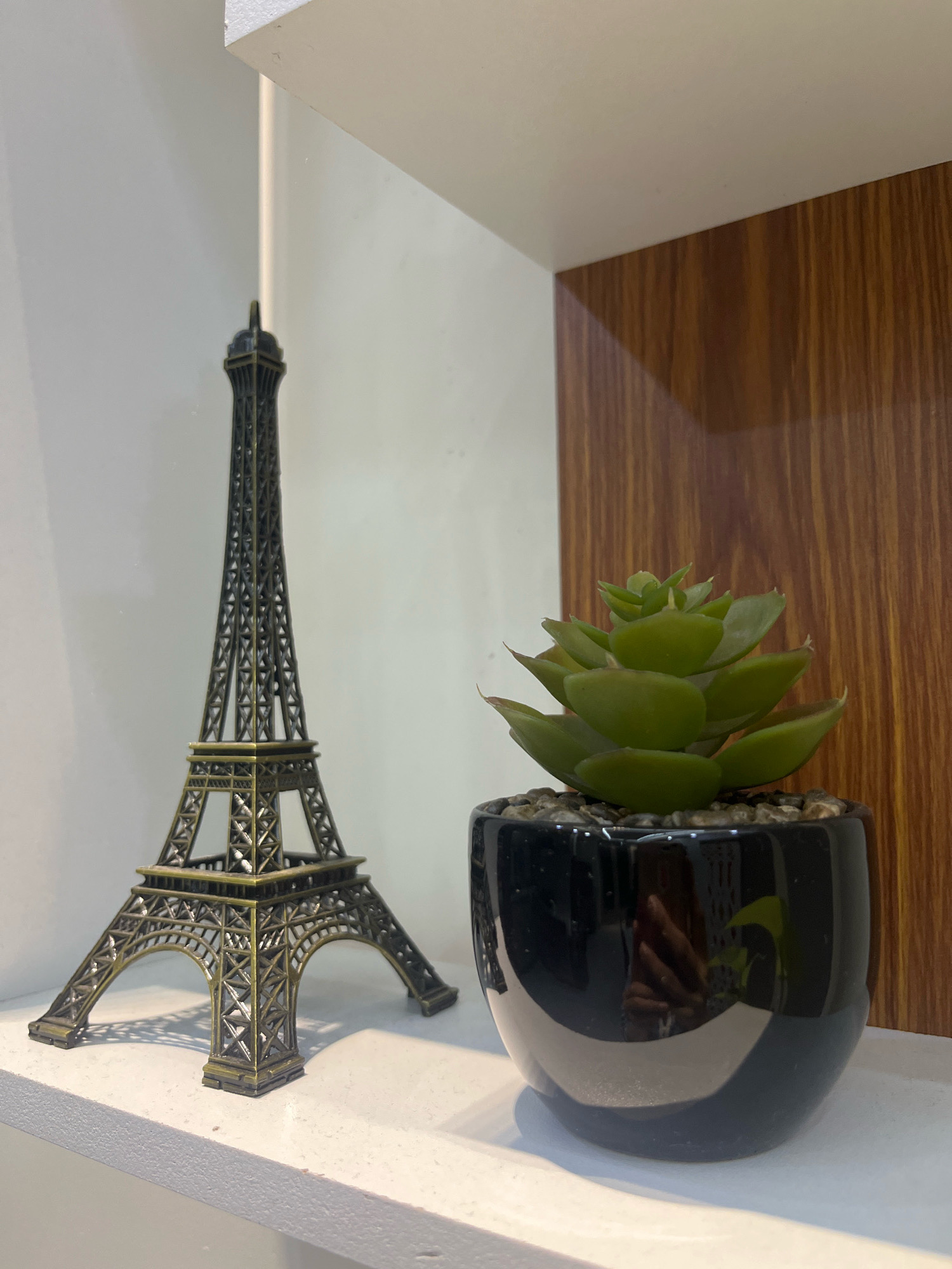 The image depicts a miniature Eiffel Tower and a small potted succulent plant placed on a white shelf. The Eiffel Tower replica is dark-colored and intricately detailed, standing to the left of the succulent. The succulent is a vibrant green with layered leaves, housed in a glossy black pot. The pot is filled with small pebbles. The shelf is white and appears to be part of a larger shelving unit. Behind the objects, the background consists of a plain white surface on the left and a textured wooden surface on the right. The lighting suggests an indoor environment, possibly a home or office shelf. There is no identifiable indication of Firozpur, India, within the visual elements of the image.