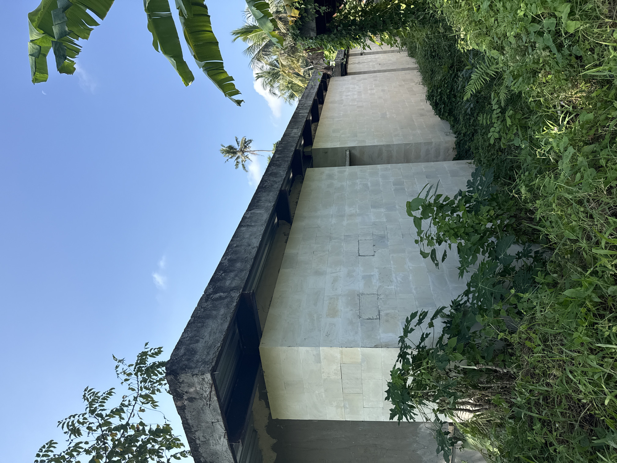 The image captures an exterior view of a building constructed with pale, rectangular blocks, possibly sandstone or limestone, located in Tampaksiring, Indonesia. The building features a rough concrete roof with exposed metal supports underneath. Lush green vegetation, including grass, leafy plants, and what appears to be papaya trees, surrounds the structure, partially obscuring its base. In the background, palm trees and other tropical foliage are visible against a clear blue sky with a few wispy clouds. The scene suggests an outdoor setting in a tropical environment, possibly during daytime given the bright sky. There are no people or animals present in the image.