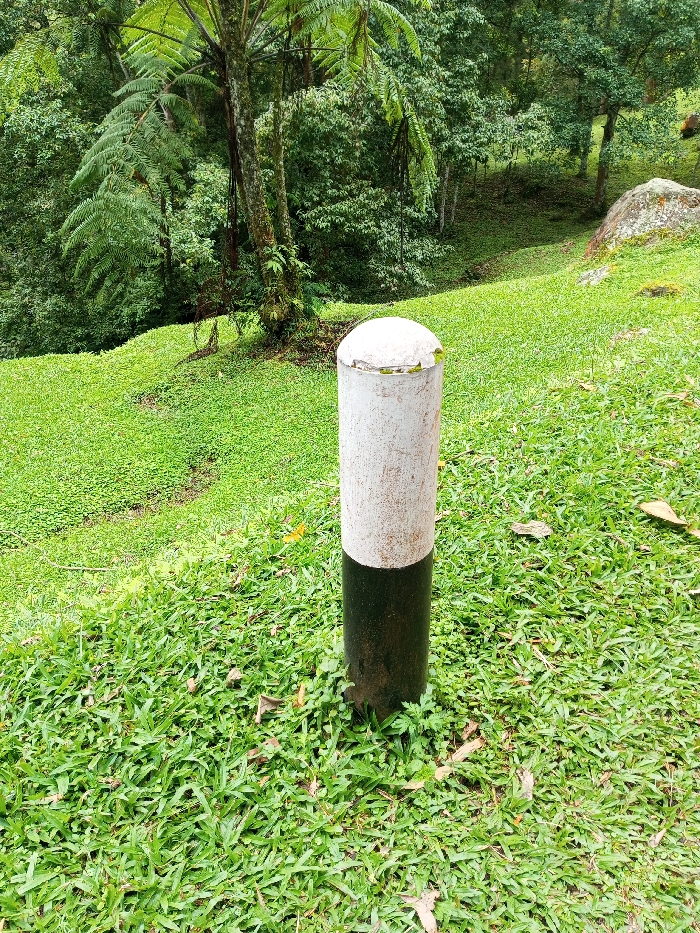 A cylindrical post, painted white on top and black on the bottom, stands amidst lush green grass. The background features a vibrant green hillside covered in various plants and trees, giving a sense of depth. The post appears weathered, adding to the natural and somewhat rugged setting. The overall composition emphasizes a tranquil, natural environment with a simple, man-made object integrated into the scene.