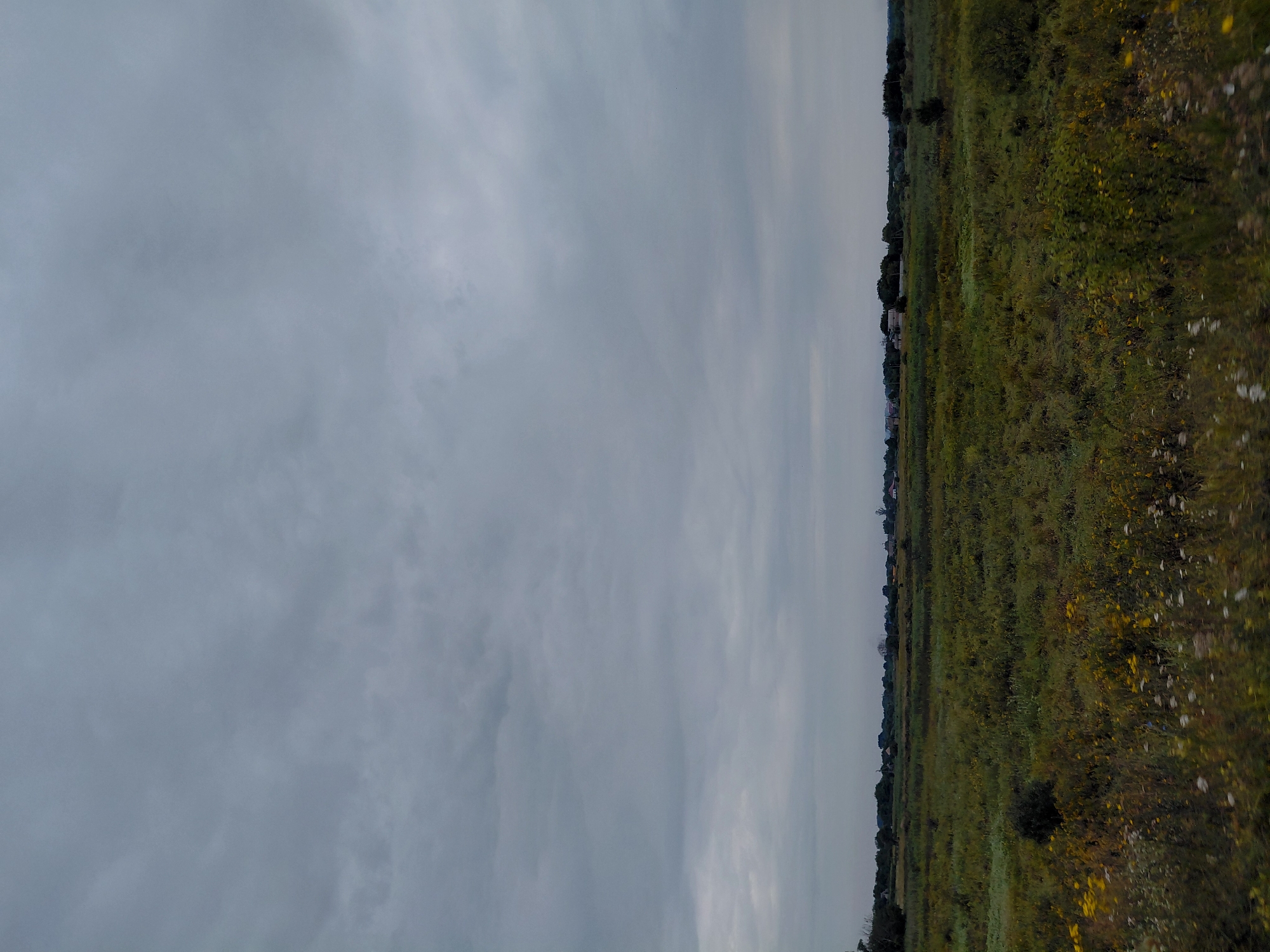 The image depicts a vast, overcast sky dominating the upper portion of the frame. Below the sky is a wide expanse of green grassland dotted with wildflowers. In the distance, along the horizon, a small cluster of buildings, possibly houses or farm structures, are visible, nestled amongst trees. The overall impression is of a rural landscape under a cloudy sky.