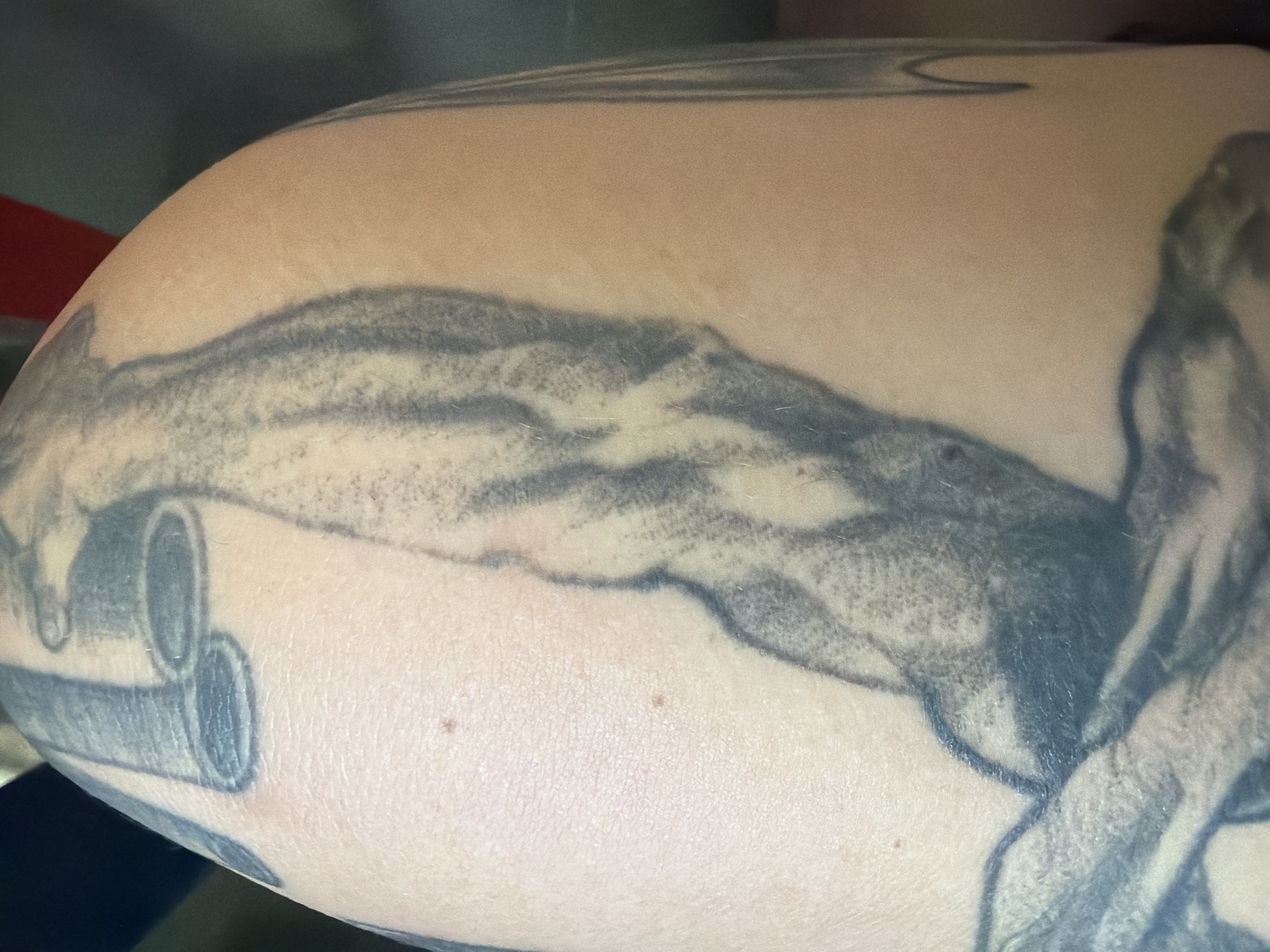 The image displays a close-up view of a tattoo on a person's arm. The tattoo appears to be a realistic depiction of a muscular arm, possibly of a human or an anatomical representation, rendered in black and grey ink. Shading and line work are used to create depth and texture, highlighting the musculature. The skin texture is visible, with pores and slight imperfections. In the background, out-of-focus elements suggest a dimly lit environment. There is no indication of the city of Dolno Ablanovo, Bulgaria, or any other geographical context within the image itself.