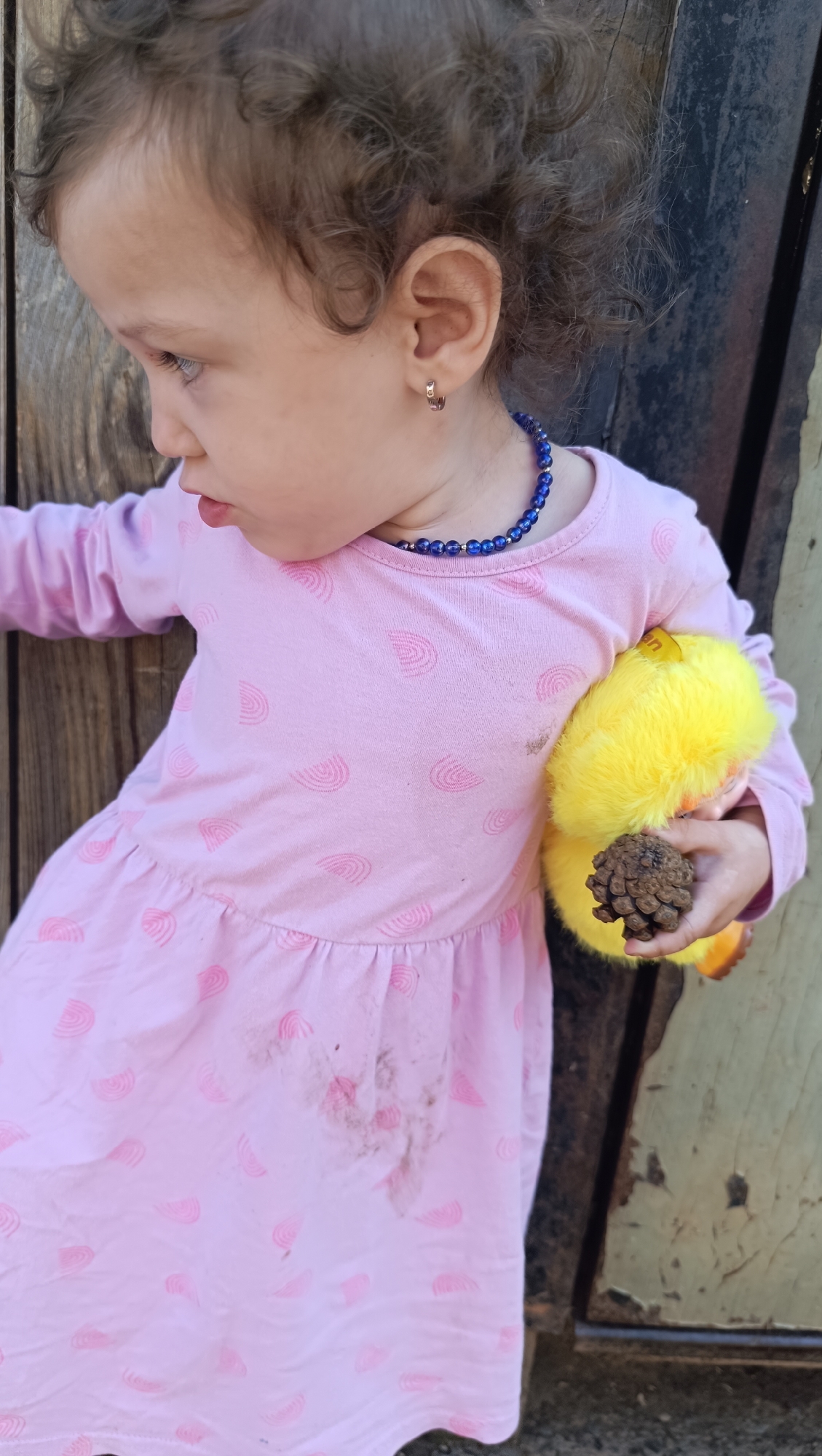 A young child with curly brown hair, wearing a pink dress with a rainbow pattern and a blue beaded necklace, is standing outdoors next to a wooden structure. The child is holding a yellow stuffed toy in their right arm and a pinecone in their right hand. The dress has some dirt stains on the front. The background appears to be a weathered wooden wall. The image does not provide any information or visual cues to suggest the location is the city of Karsha, Russia.