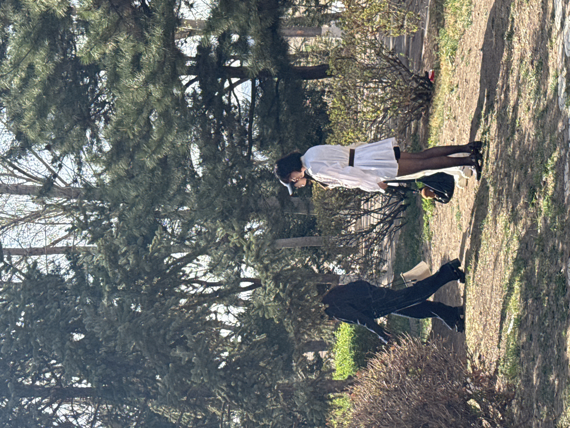 The image depicts an outdoor scene in what appears to be a park or natural area in Zhongtun, China. Two individuals are present amidst sparse ground cover and numerous trees, under a bright, clear sky.
The prominent subject, positioned towards the center-right of the frame, is wearing a white, long-sleeved dress or tunic cinched with a dark belt, dark stockings or leggings, and dark shoes. This person has dark hair and a dark cap. They are holding a dark object, possibly a bag or camera, in their left hand. Behind them, a second person is partially visible, dressed in dark clothing, including a jacket and pants, with dark shoes. This individual appears to be carrying a light-colored bag or item over their shoulder or in their hand. Both individuals seem to be casually walking or standing.
The left side and background of the scene are densely populated with dark green pine trees, indicating a forested or well-vegetated area. Some deciduous trees with bare branches are also visible, suggesting the season might be late winter or early spring. The ground is covered with dry grass and patches of exposed dirt. Long shadows are cast across the ground, indicating that the sun is low in the sky, either early in the morning or late in the afternoon. Low, dry bushes are present in the right foreground. There is no visible text in the image. The overall setting is serene and natural.