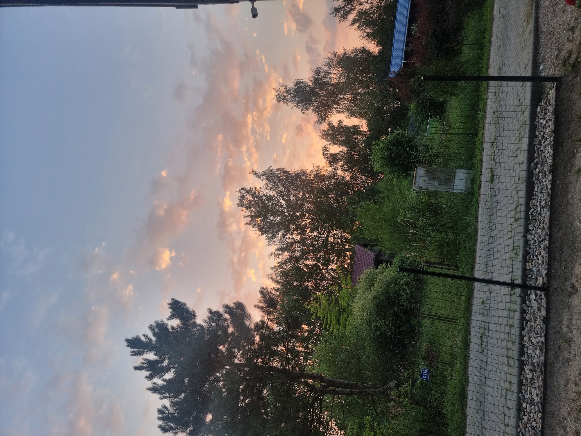 This is a photograph taken at eye level of a rural residential area in Szczaki, Poland, during sunset. The sky is filled with soft pink and orange clouds, indicating the golden hour. In the foreground, a gravel path borders a wire fence with a concrete sidewalk behind it. Beyond the fence, lush green vegetation and trees dominate the scene, interspersed with a few small buildings. To the left, a tall pine tree stands out, while to the right, a modern building with a blue roof is visible. A blue sign with white text, "Y-119," is affixed to a fence post. The overall impression is one of a peaceful evening in a suburban or rural setting.