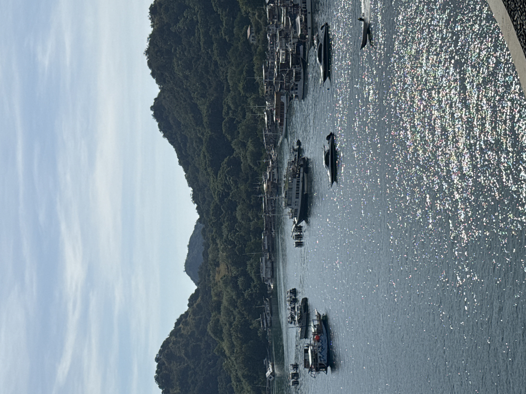This vertically-oriented, wide shot captures a harbor scene near Labuan Bajo, Indonesia. Boats of various sizes, some with masts, are moored in the water. The water's surface is highly reflective, creating a sparkling effect. A densely vegetated, green mountain rises on the left side of the frame. A clear, blue sky with streaks of thin clouds stretches above the mountain.