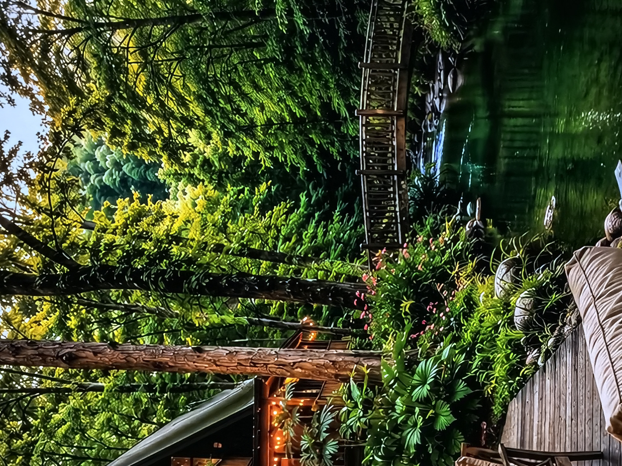 The image captures a serene outdoor landscape, likely a private garden or retreat situated in Sofiivska Borshchahivka, Ukraine. The scene is viewed from a wooden deck, partially visible in the bottom right, where a light-colored outdoor cushion and a chair armrest suggest a comfortable seating area.
On the left, part of a building, possibly a house or cabin, with a dark roof is visible. Warm string lights illuminate its exterior, contributing to a cozy ambiance. The environment is dominated by lush, vibrant greenery, featuring tall trees with both dark green and bright yellow-green foliage. Sunlight filters through the dense canopy, creating dynamic highlights and shadows on the leaves.
A tranquil body of water, resembling a pond or a calm stream, occupies the mid-ground, mirroring the surrounding trees and sky. A rustic wooden bridge, complete with railings, spans across this water, connecting different parts of the landscape. The banks of the water and the areas adjacent to the deck are richly landscaped with various plants and bushes, interspersed with small pink flowers. Several large, rounded, stone-like decorative elements are nestled within the foliage near the deck.
The lighting suggests either early morning or late afternoon, with a bright sky peeking through the tree branches in the upper left. The overall mood is peaceful and inviting, emphasizing nature and relaxation. There is no visible text in the image.