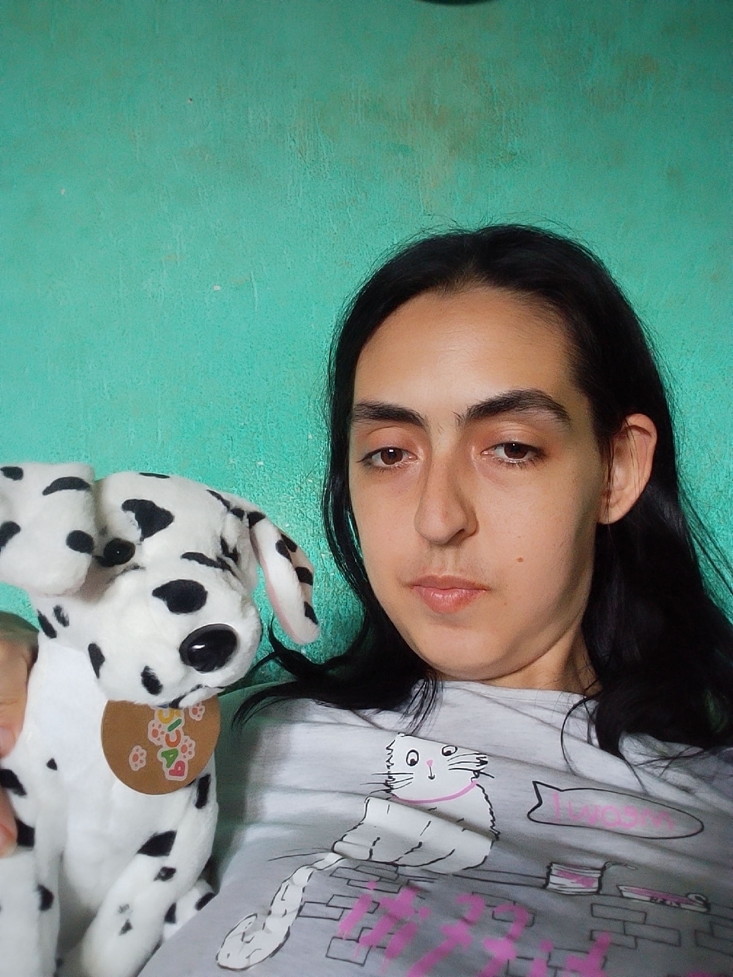 The image is a selfie of a young person with long, dark hair holding a stuffed dalmatian dog. The person is wearing a grey t-shirt with a cartoon cat graphic. The background is a turquoise wall. There is no information in the image to suggest a location in Stara Zagora, Bulgaria.