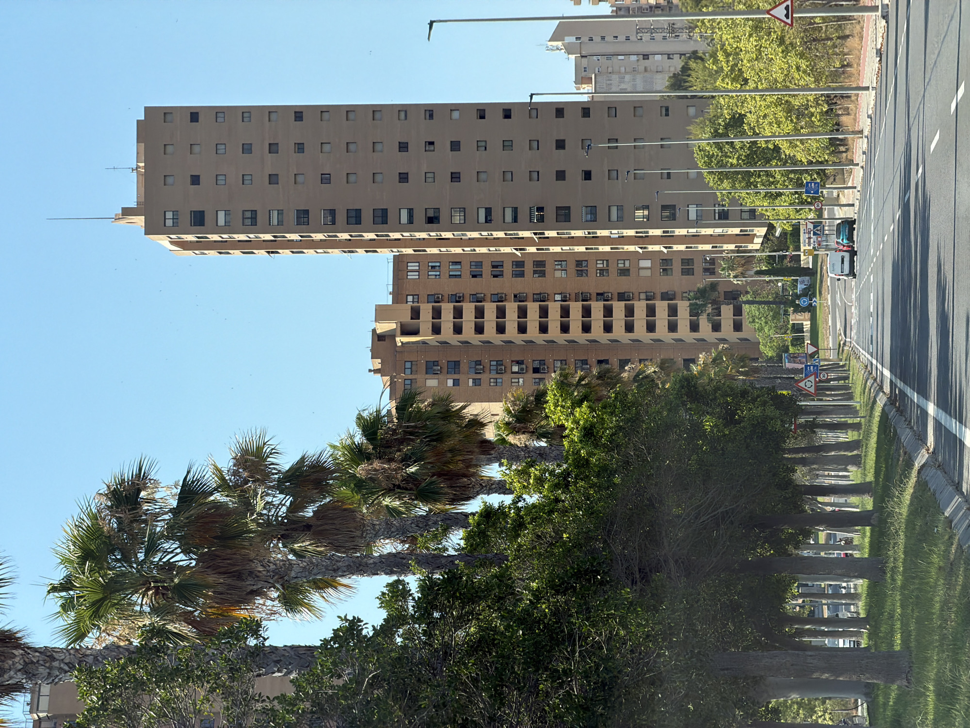 The image captures a street scene in Benidorm, Spain, dominated by tall apartment buildings and lined with palm trees and lush green foliage. The foreground features a road with white lane markings, and a concrete curb separates the road from a grassy median strip where several trees are planted. In the background, the prominent features are several high-rise buildings, most notably a very tall, slender tan building with numerous windows and a sharp, pointed antenna at its summit. To its left, a slightly shorter, wider tan building also has many windows. Further to the right, other buildings of varying heights and architectural styles are visible, including some with balconies and air conditioning units. The sky is a clear, bright blue, indicating a sunny day. A few vehicles, including a white van and a turquoise car, are visible on the road, suggesting moderate traffic. Road signs, including a speed limit sign, are present along the side of the road. The overall impression is that of a modern, urban environment in a sunny coastal city.