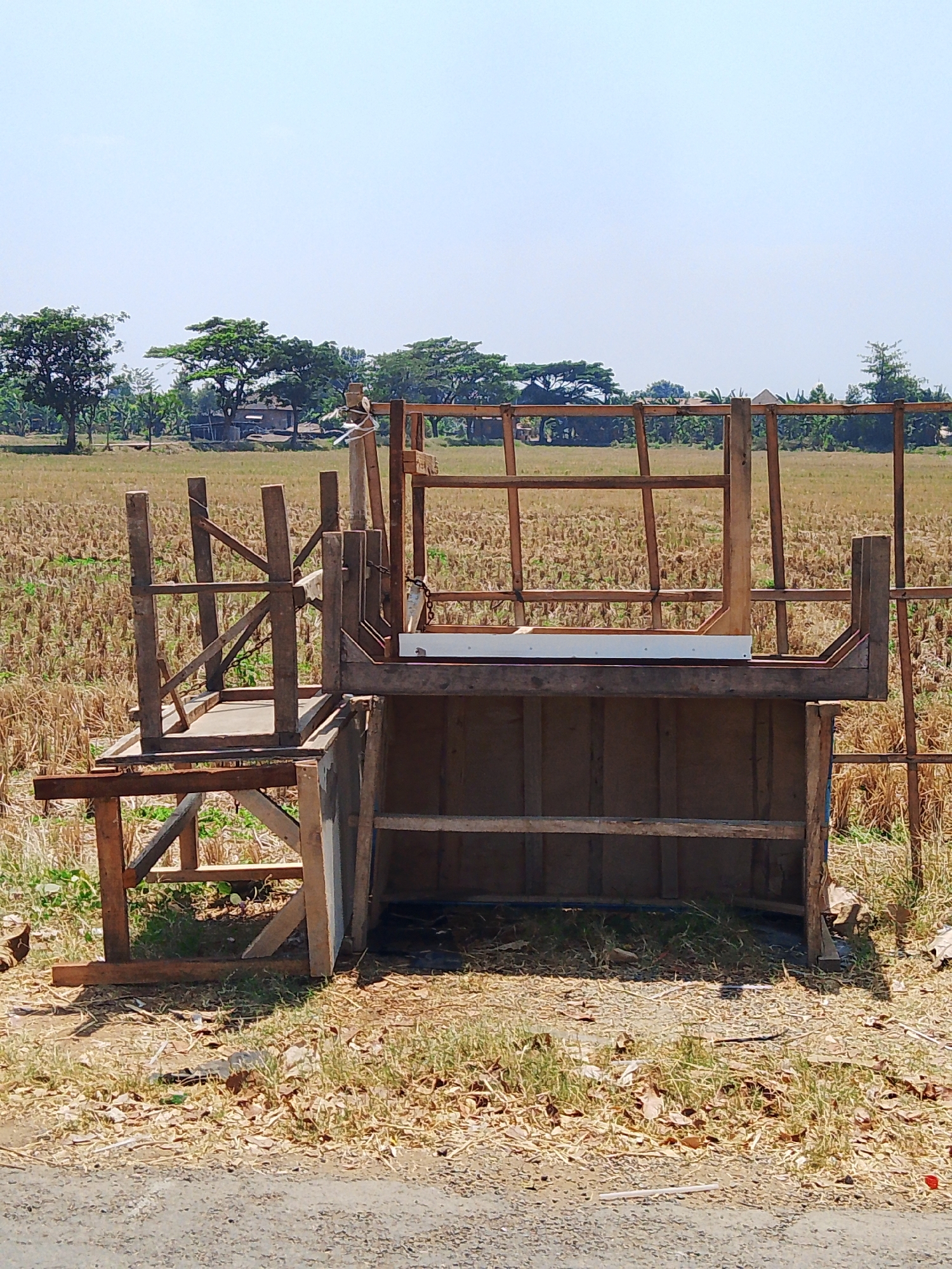 The image depicts an outdoor scene in Kuanyar, Indonesia, characterized by dry, harvested rice fields under a clear, bright sky. In the foreground, a partially constructed wooden structure, resembling a platform or a makeshift shelter, dominates the frame. The structure is made of raw, unpainted wood and appears to be in a state of disrepair or incomplete construction. It features various wooden beams, planks, and supports arranged in a utilitarian manner.
Behind the wooden structure, the landscape is predominantly a vast expanse of dry, golden rice stubble, indicative of a recent harvest. Scattered throughout the field are patches of green vegetation and a line of trees in the distance. A few houses with dark roofs are visible amidst the trees, suggesting a rural or semi-rural setting. The ground in the immediate vicinity of the structure is covered with dry grass, leaves, and debris. The overall impression is one of a rural, agricultural environment during a dry season.