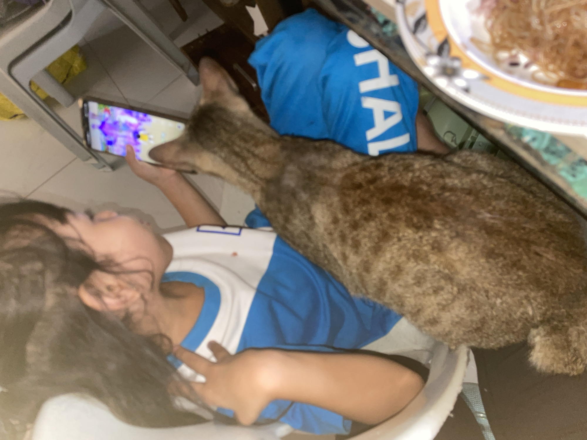 In an indoor setting, likely a residential area in Davao City, Philippines, a young child with dark hair is seated, engrossed in a smartphone. The child wears a white t-shirt with blue accents. A tabby cat rests against the child's arm and chest, its fur a mix of brown and black stripes. The cat's head is turned away from the camera. In the background, a blue t-shirt with white lettering is visible, and part of a plastic chair is also in view. The overall scene suggests a moment of quiet activity, possibly at home.