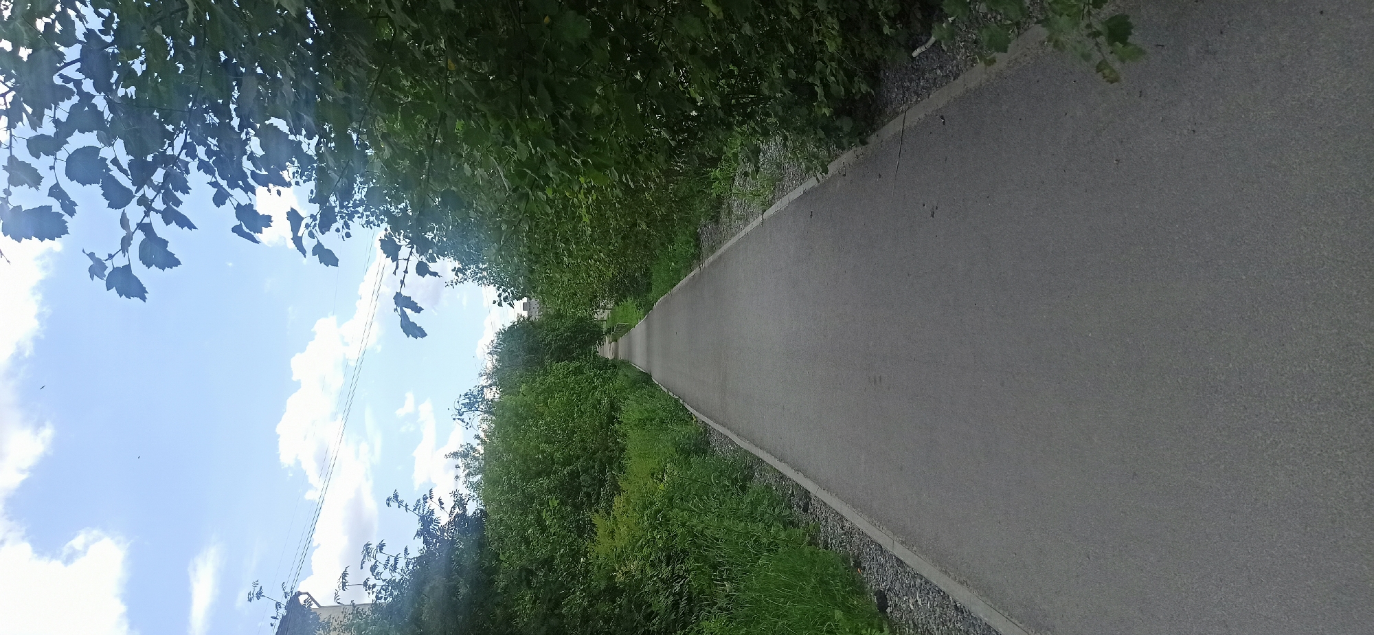 The image depicts a paved walking or biking path surrounded by lush green foliage. The path is grey and appears to be made of asphalt, with a gravel border on one side. Dense green trees and bushes line the path, creating a tunnel-like effect as it recedes into the distance. The sky above is a bright blue with scattered white clouds. Sunlight filters through the leaves, casting dappled shadows on the path. A few power lines are visible against the sky, suggesting the proximity of a town or infrastructure. In the far distance, a building or structure can be faintly seen peeking through the trees. The overall scene is peaceful and natural, evoking a sense of tranquility. The image is a landscape, likely taken during the daytime on a clear day, as indicated by the bright sky and sunshine. There is no visible text in the image.