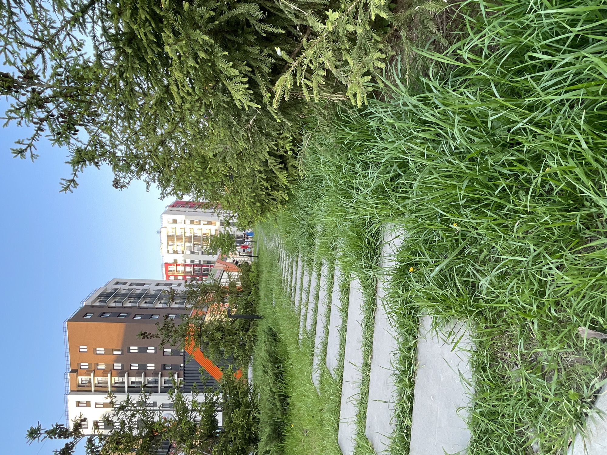 The image shows a pathway in an urban area, likely Pervomaysky, Russia. The pathway consists of rectangular concrete slabs separated by grass. The grass also grows abundantly on either side of the pathway. In the background, there are several multi-story apartment buildings with various color schemes. The sky is blue. In the foreground, there are trees and shrubs. There are two or three people in the distance, but they are not detailed enough to discern specific actions or interactions.