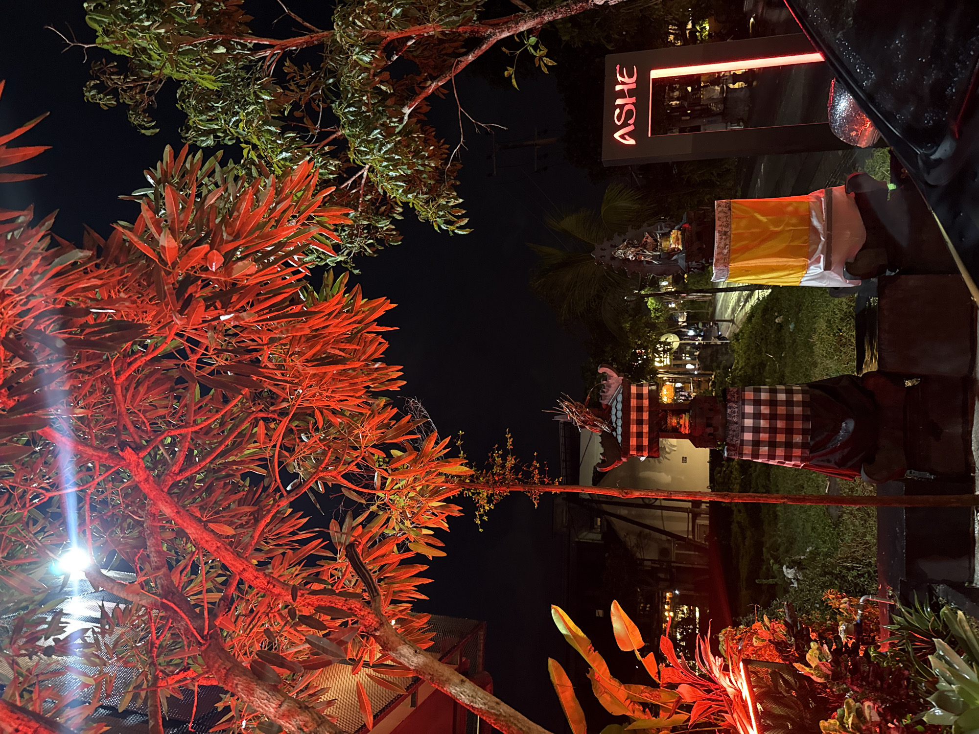 The image, taken in Unknown, Unknown at night, features a neon sign reading "ASHE" in block letters with red lighting. A Balinese Hindu shrine wrapped in checkered black and white cloth is present. Additionally, a red-lit tree occupies the left portion of the frame, while other greenery surrounds the area. A dark object, potentially a vehicle or part of one, is visible on the right.