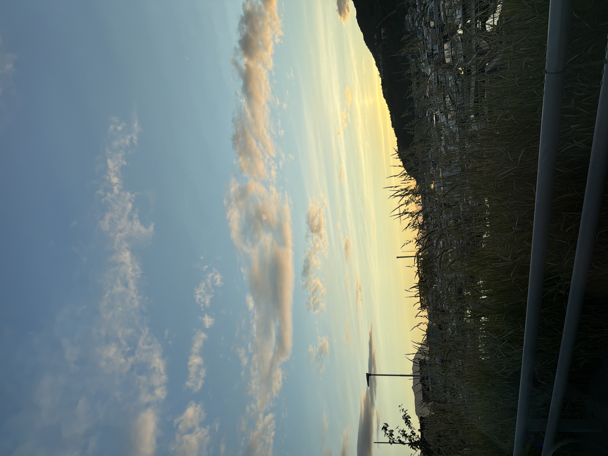 The image depicts a twilight scene over a harbor, likely in Harstad, Norway, given the presence of boats and a hilly, coastal landscape. The sky is a gradient of soft blues and oranges, with scattered clouds tinged pink and yellow by the setting sun. In the foreground, tall grasses sway, partially obscuring a view of a marina filled with numerous white boats. A dark, silhouetted hill rises in the background, dotted with distant lights indicating buildings or homes. A street lamp is visible to the left of the frame. The overall atmosphere is serene and natural, with no people or animals readily apparent.