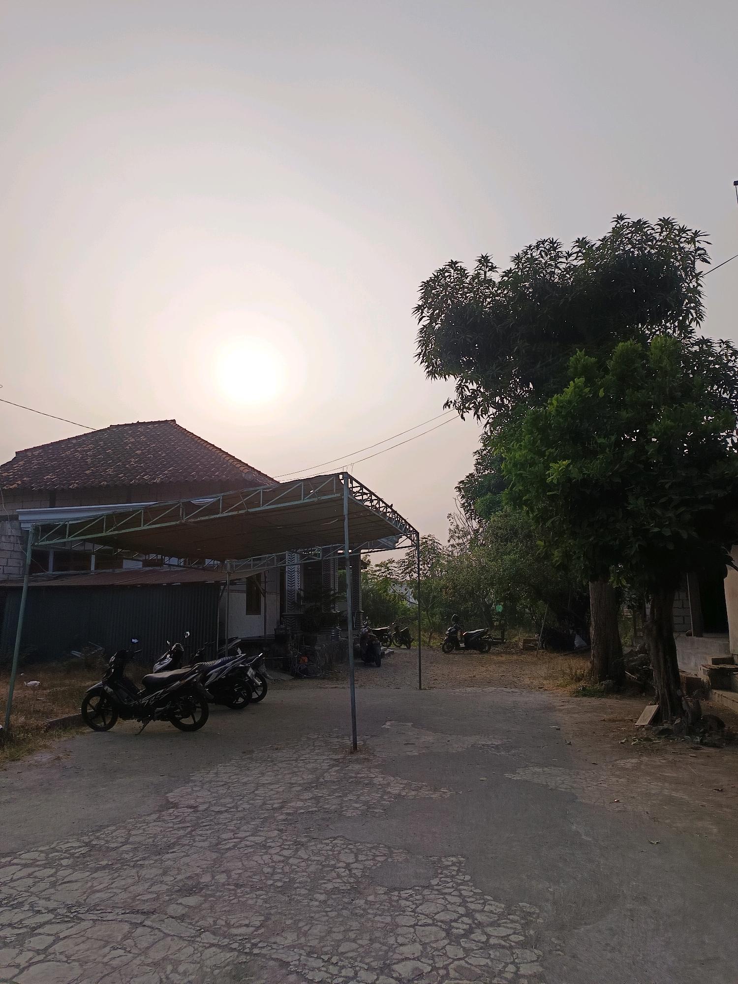 The image depicts a residential scene in Blega, Indonesia, bathed in the soft light of a hazy sun. In the foreground, a cracked asphalt surface leads towards a property entrance. To the left, a house with a tiled roof is partially visible, with a covered area in front of it supported by a metal frame. Several motorcycles are parked under this shelter. A tall, leafy tree dominates the right side of the frame, casting shadows on the ground. In the background, more trees and structures are faintly discernible. The overall impression is one of a tranquil, rural or suburban setting.