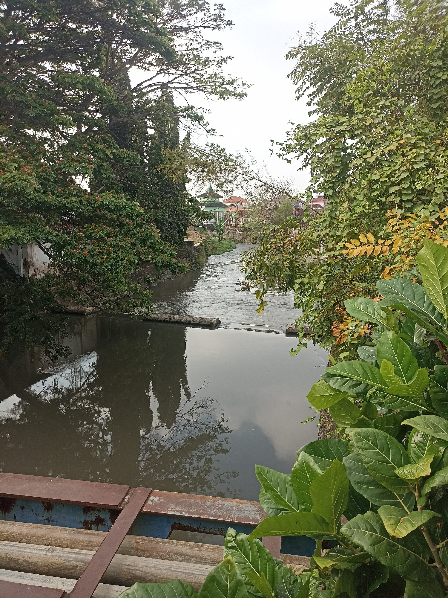 The image shows a river flowing through a residential area in Banyuwangi, Indonesia. The riverbanks are lined with lush vegetation, including large trees and leafy bushes. In the background, houses with red-tiled roofs are visible, suggesting a suburban or semi-rural setting. The river itself is calm, with reflections of the trees and the sky on its surface. A small structure, possibly a pavilion or temple, with a green roof, can be seen on the right bank, further suggesting a location in Indonesia. The foreground of the image shows a portion of a wooden and metal structure, possibly a bridge or pier, with some of its components made of rusty metal. The overall scene depicts a tranquil natural setting integrated with human habitation in Banyuwangi.