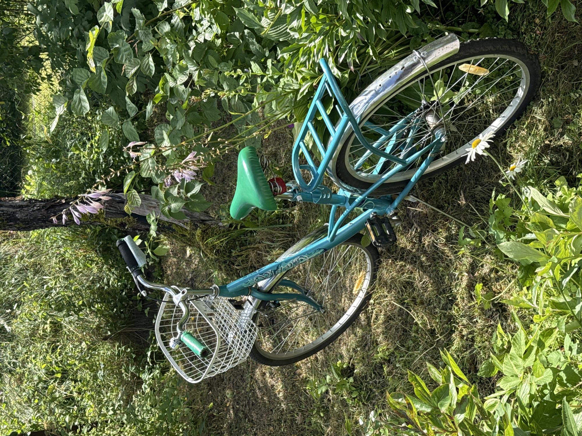 An overhead, high-angle shot shows a turquoise bicycle with a white wire basket and a green seat lying on its side in a grassy, sun-dappled area surrounded by lush green foliage and a tree trunk. The bicycle is positioned diagonally, with its front wheel pointing towards the top left and its rear wheel towards the bottom right. A few scattered flowers, one white daisy with a yellow center prominently displayed near the rear wheel, dot the grass. The environment suggests a peaceful, natural setting, possibly a garden or a park area. The backdrop consists of dense green leaves, tall grass, and the textured bark of a tree. The lighting indicates a sunny day, with shadows cast across the scene, highlighting the contrast between light and dark areas. The location is specified as Krasnaya Presnya SNT, Russia.