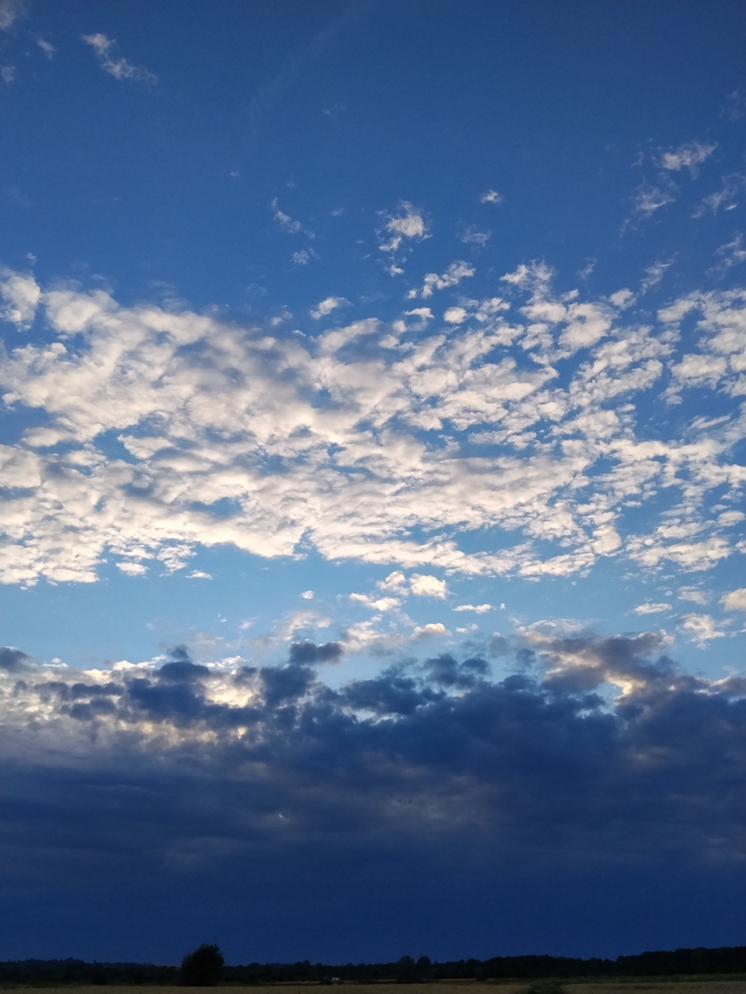 A vertical, eye-level shot showcases a dramatic skyscape over Ustyvytsya, Ukraine, at dusk. The sky is a deep blue, transitioning to lighter hues near the horizon. A band of bright white cumulus clouds stretches across the middle of the frame, interspersed with smaller, wispy clouds. Below this, a darker, heavier layer of clouds obscures the setting sun, with patches of light breaking through. The bottom of the image reveals a dark silhouette of a treeline and a flat, indistinct landscape, suggesting a rural or open area. No people or specific structures are clearly identifiable.
