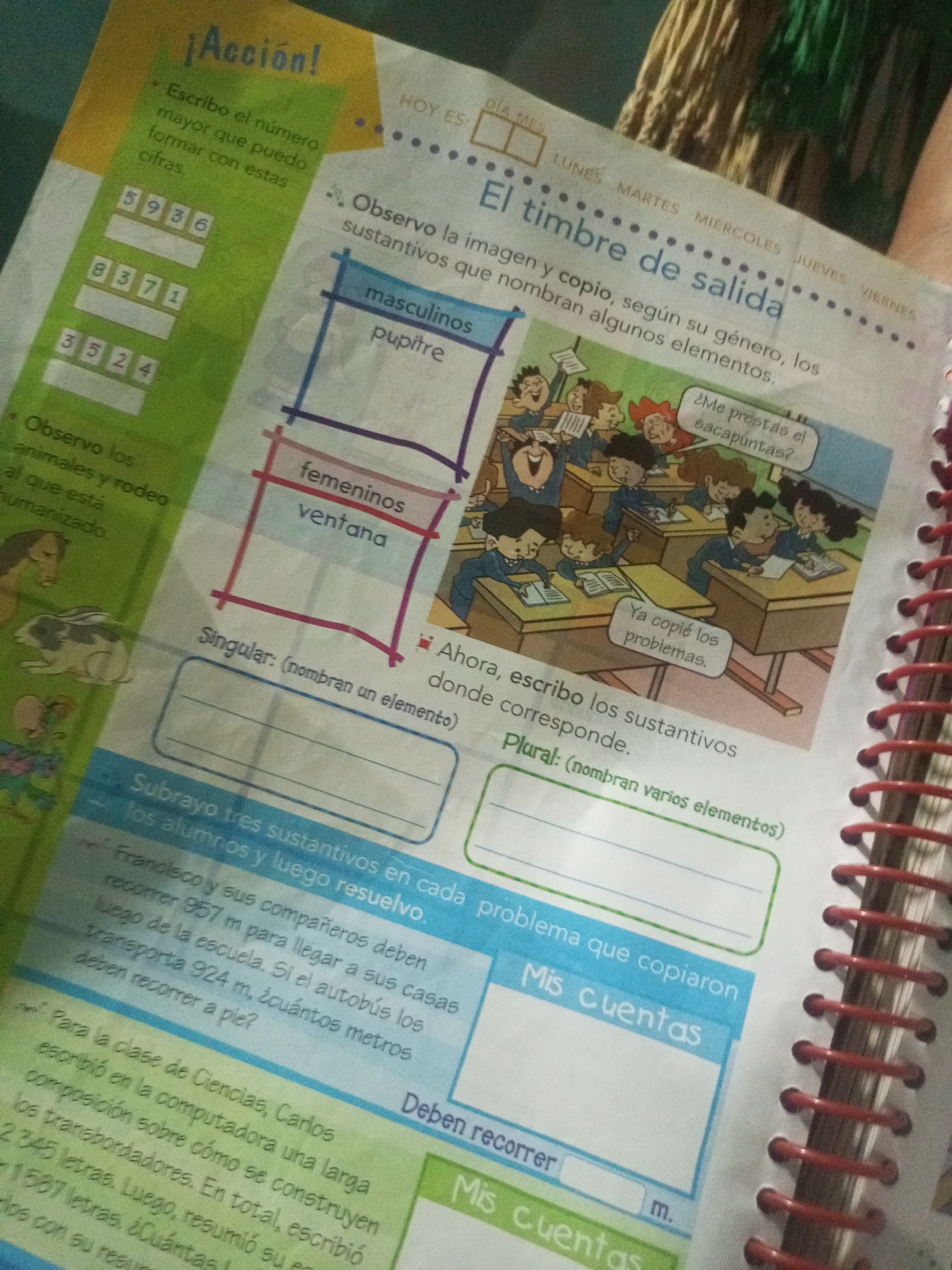The image is a close-up, slightly angled shot of an open workbook. The workbook is filled with text and illustrations, appearing to be educational material for children. The workbook has a spiral binding on the right side, with red plastic coils. The page on the left features a large, yellow banner with the heading "¡Acción!" in bold, blue, outlined letters. Below this, there are instructions to write numbers and a list of numbers (5936, 8371, 3524) in boxes. There are also instructions related to observing animals. The right page has a title "El timbre de salida" and illustrations of children in a classroom setting. Speech bubbles contain Spanish text. There are also sections for categorizing nouns as masculine or feminine, singular or plural, and sections for writing answers to word problems. The workbook is placed on a textured surface, possibly a wooden table or floor. There is no indication of the city of La Tagua, Venezuela, or any other specific location.