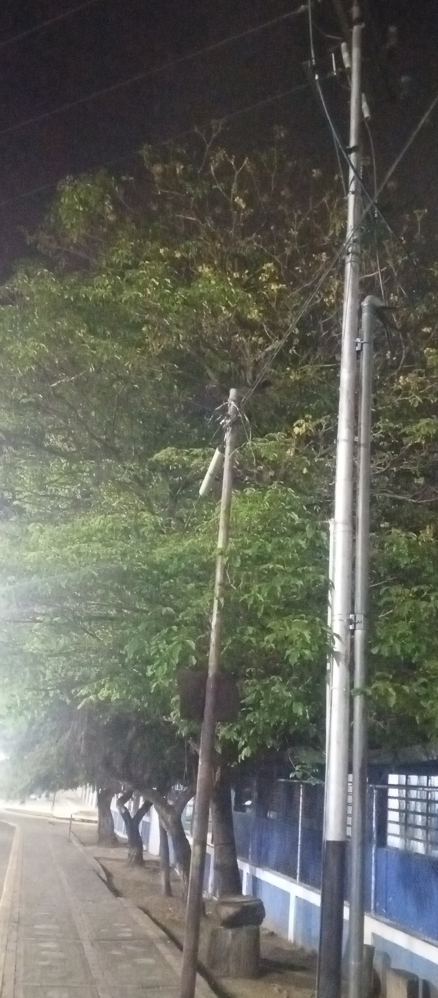 The image depicts a dimly lit street scene at night in Tinaquillo, Venezuela. A sidewalk runs along the left edge of the frame, bordered by a row of trees lining the street. To the right, a blue and white wall with visible windows extends into the background. Several utility poles are prominent, displaying an array of wires. The overall ambiance is muted, with visibility affected by the low light conditions.