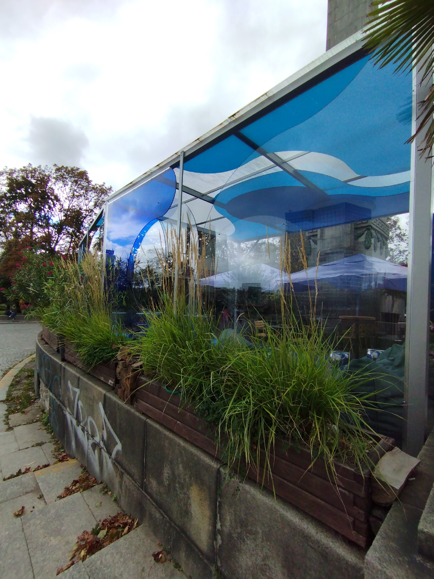 This is a medium-angle, eye-level shot of a modern outdoor cafe or restaurant structure with a wavy blue and white fabric canopy. The structure has glass walls reflecting the sky and surrounding trees. In front of the glass is a planter box overflowing with tall, dry grasses and lush green foliage. The planter box sits on a concrete retaining wall, which has graffiti on its lower section. To the left, a paved walkway curves away, with fallen leaves scattered on it. In the background, through the glass, obscured by the foliage and reflections, there are glimpses of outdoor seating, umbrellas, and architectural elements of a building that appears to be a monument. The overall environment suggests a public space, possibly a park or a street in Warsaw, Poland, given the architectural style. The sky is overcast with visible clouds.