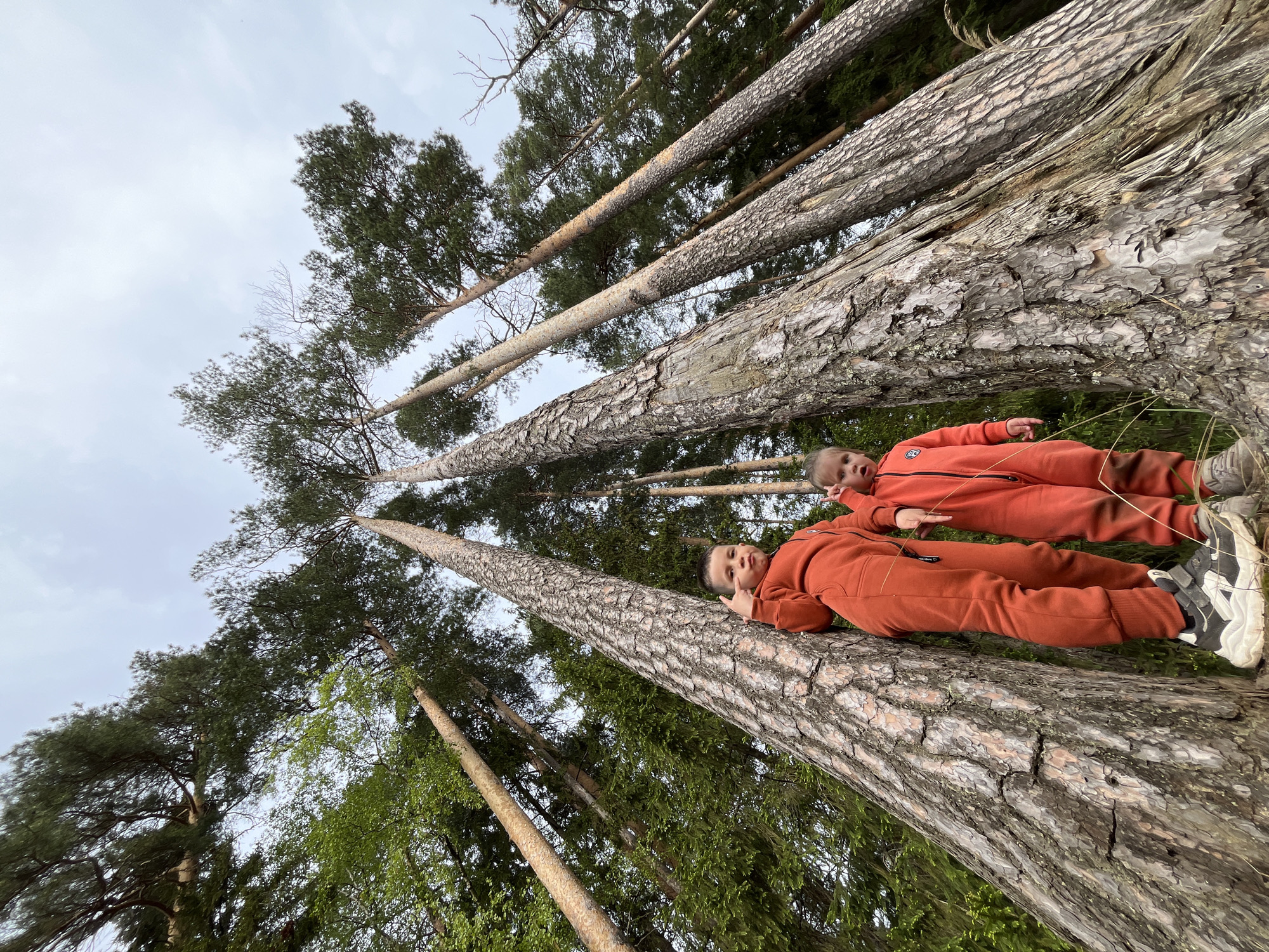 The image shows two children lying on a fallen tree trunk in a forest. The trees surrounding them are tall and thin, reaching towards a cloudy sky. The children are wearing matching orange jumpsuits and shoes. The photo was taken in Chaikovsky, Russia.