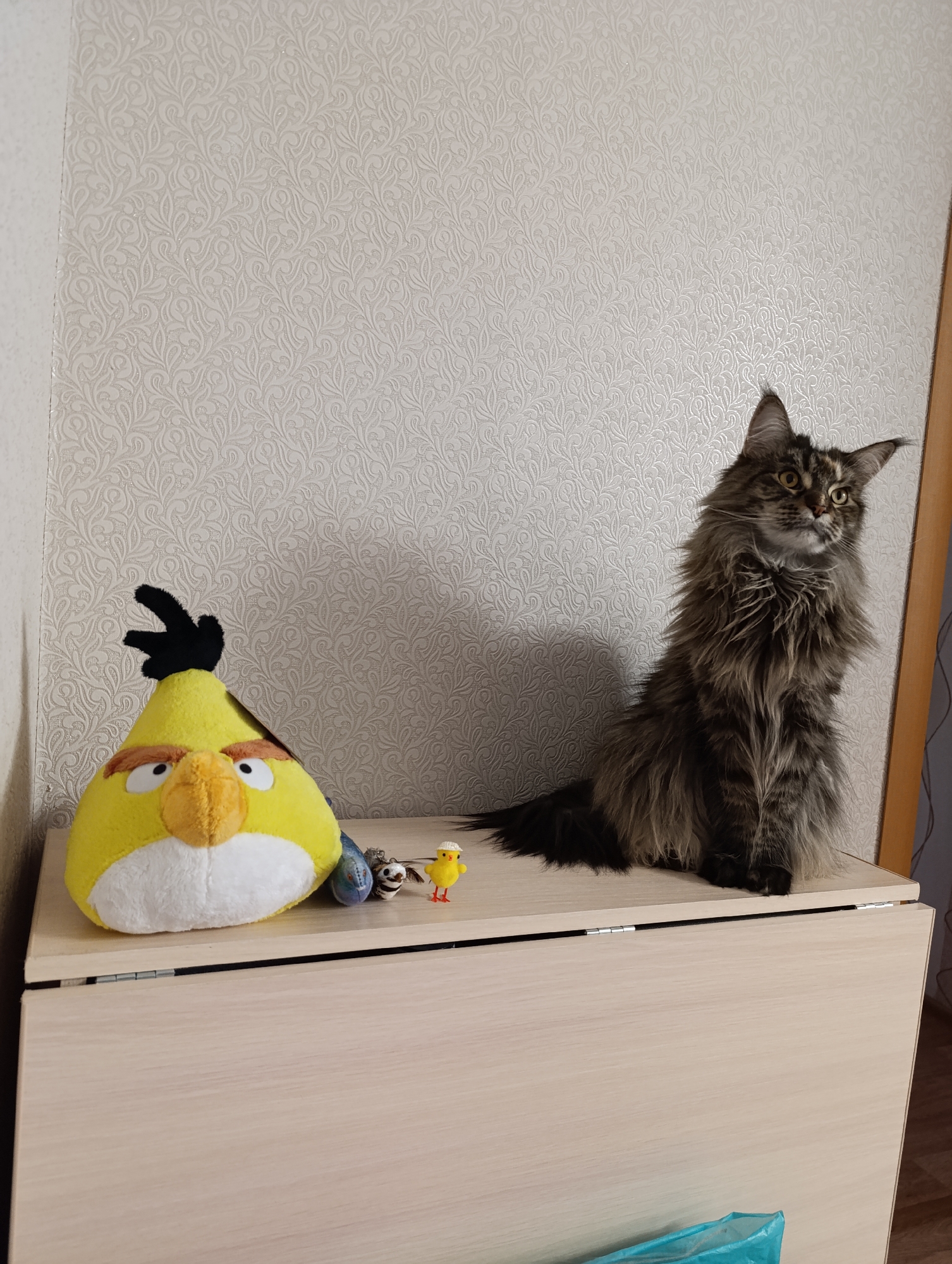 On a light beige surface sits a yellow Angry Birds plush toy with black accents, next to a cat. A small yellow chick figurine and two other figurines are also present on the surface. The cat, characterized by its long, dark fur, is positioned to the right of the plush toy and figurines. The backdrop is a wall covered in patterned wallpaper. The location is unspecified in the city of Unknown, Unknown.