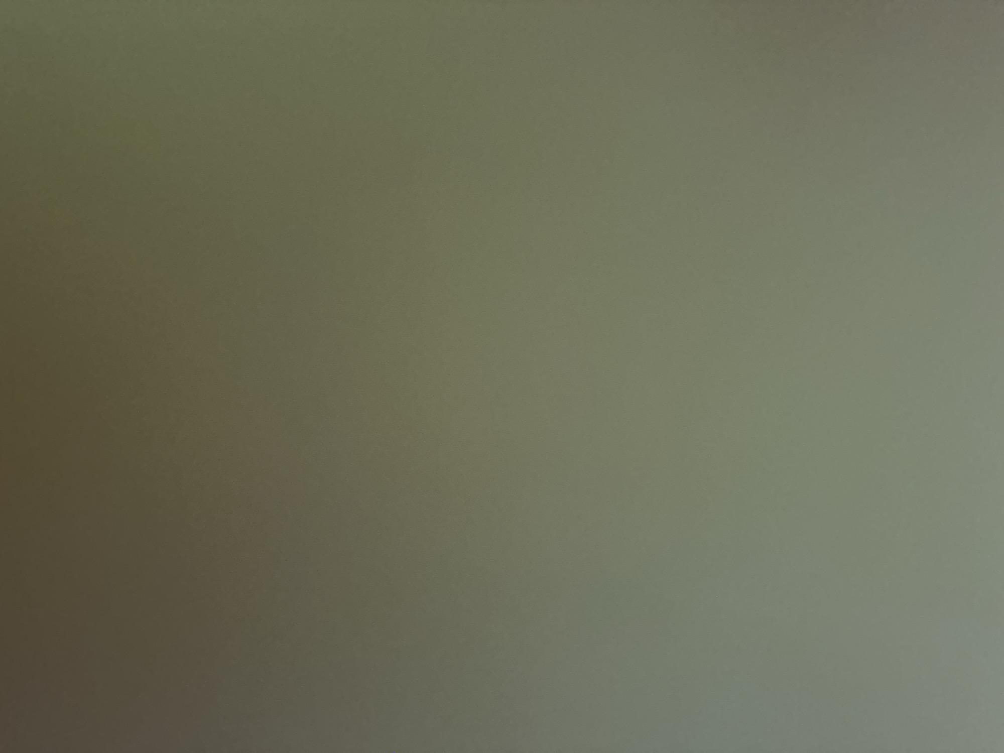 This media file is a close-up, out-of-focus shot of a wall. The wall appears to be painted a muted, greenish-gray color, with subtle variations in shade that suggest the play of light. There are no discernible subjects, objects, or scenes. The image is devoid of any activity or event. It's difficult to determine the time of day, weather, or any location cues. No text is visible. The overall impression is one of abstract texture and color.