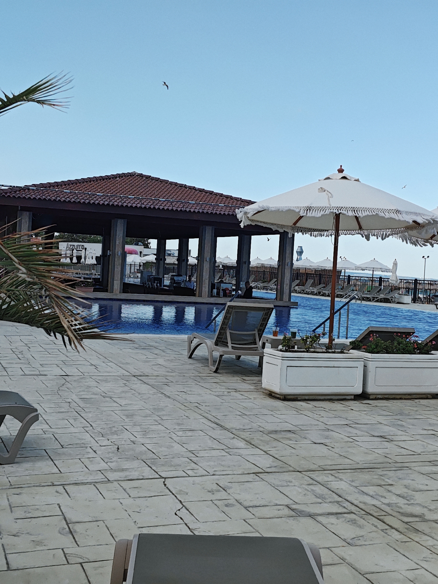 An outdoor swimming pool area at a resort is depicted. The pool is a vibrant blue, reflecting the clear sky. Loungers are scattered around the pool, some with drinks on side tables. A white fringed umbrella stands prominently in the foreground, casting a shadow on the tiled ground. In the background, a covered structure with a tiled roof provides shade and houses tables and chairs, possibly a bar or restaurant. Palm fronds hang into the frame from the left, adding a tropical element to the scene. Several seagulls are visible in the sky. The ground is paved with large, rectangular tiles. The overall impression is one of a serene and relaxing vacation setting.