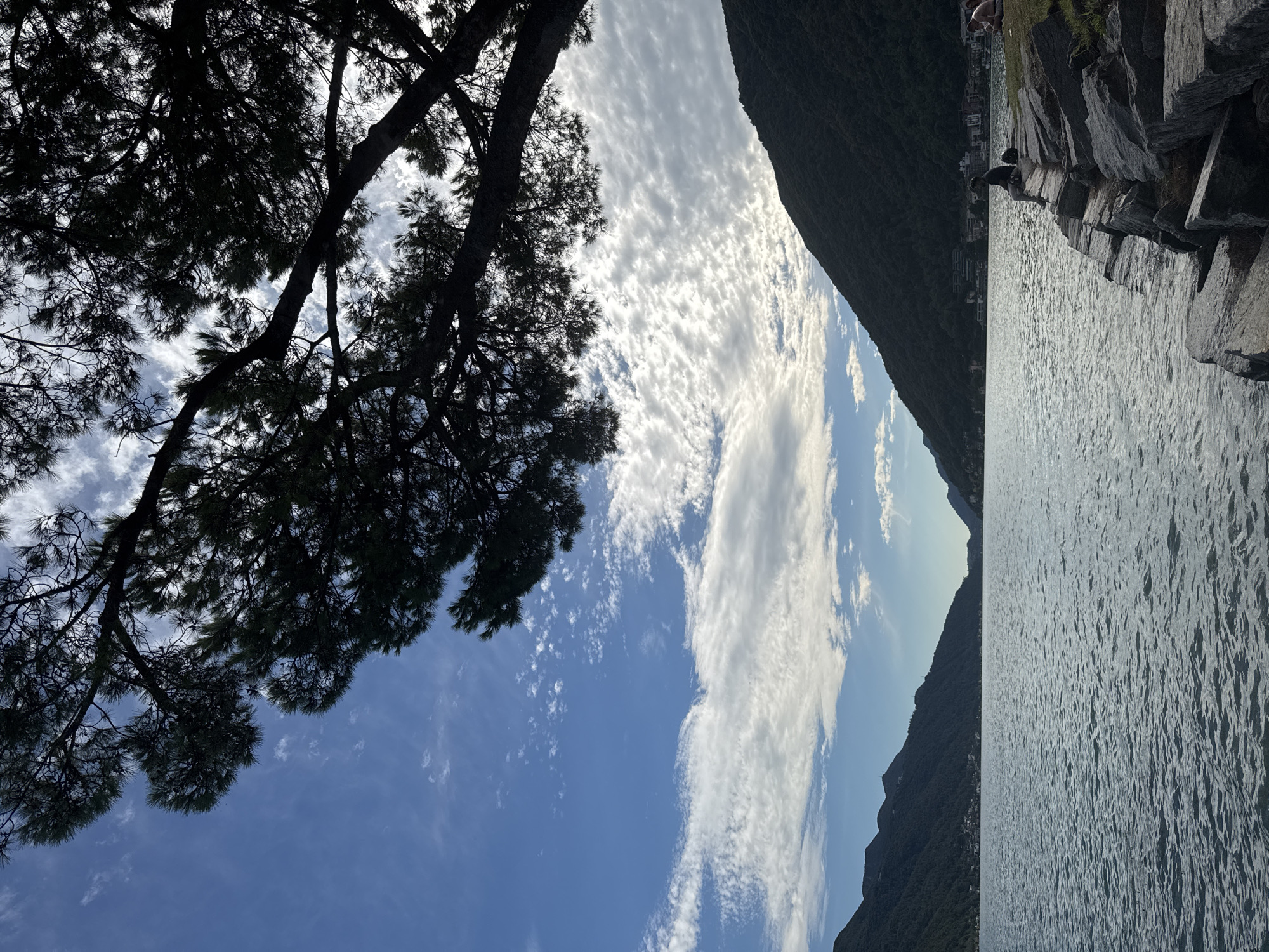 A vertical shot captures a serene lakeside scene in Melide, Switzerland. The foreground is dominated by a rocky shoreline, with large, grey stones leading into the calm, rippling water of a lake. Several individuals are seated or lying on the rocks and grass along the edge, appearing relaxed. In the distance, lush green hills rise from the water, with a small town nestled along the shore. The sky above is a vibrant blue, dotted with wispy white clouds that catch the sunlight. A large, dark silhouette of a pine tree's branches extends into the frame from the top, casting a shadow over a portion of the sky and framing the picturesque view.