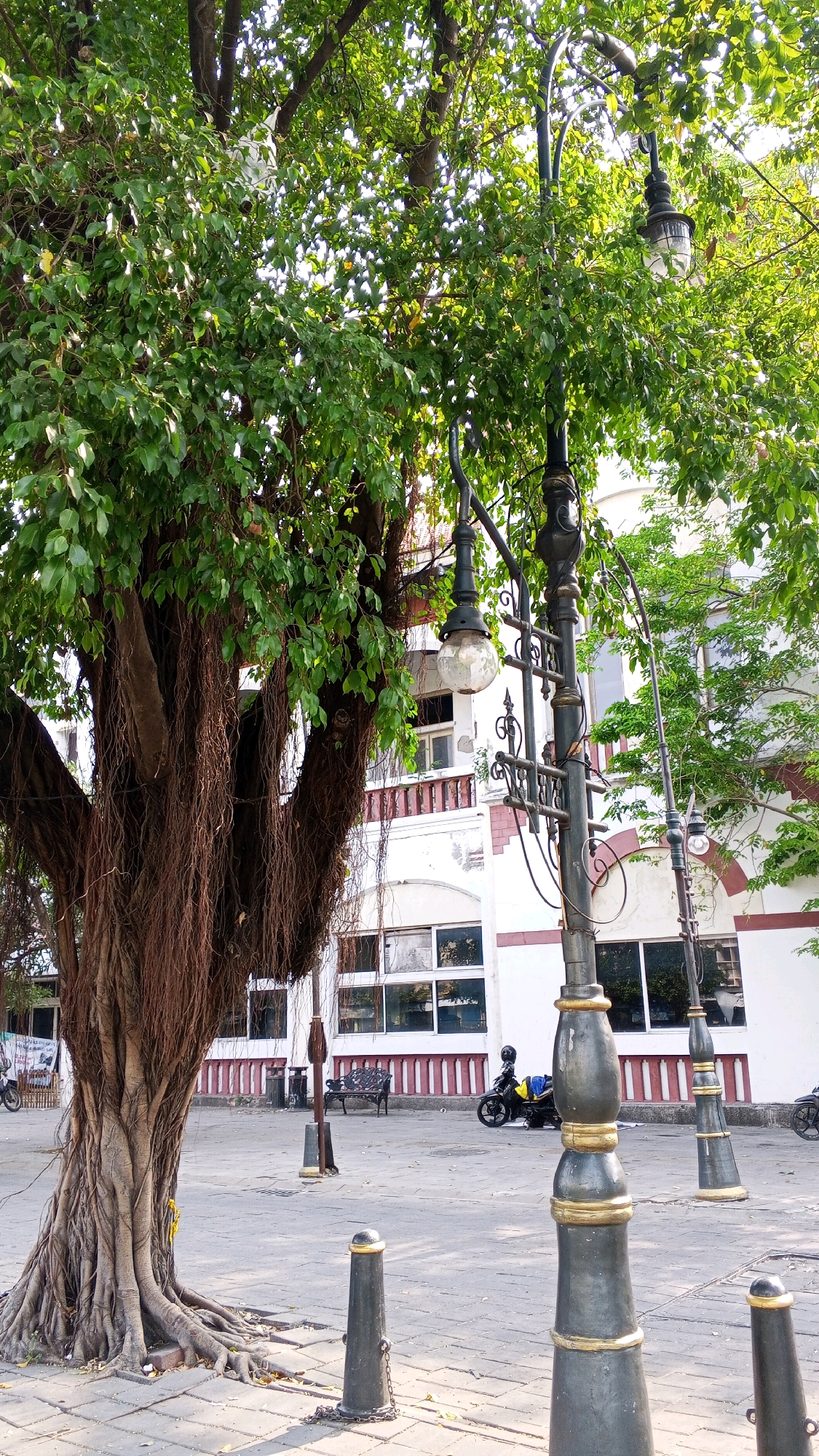 The image depicts a public square in Semarang, Indonesia, with a prominent banyan tree on the left and antique-style street lamps lining the paved area. The tree features a massive, gnarled trunk and a canopy of lush green leaves with numerous aerial roots hanging down. Behind the tree, a building with white and maroon accents and large windows is visible. Several street lamps, made of dark metal with ornate details and glass lanterns, are spaced throughout the scene. In the background, a black motorcycle with a yellow bag is parked, and a bench is situated near the building. The ground is paved with interlocking stones, and scattered leaves suggest the presence of natural debris. The lighting indicates a sunny day.