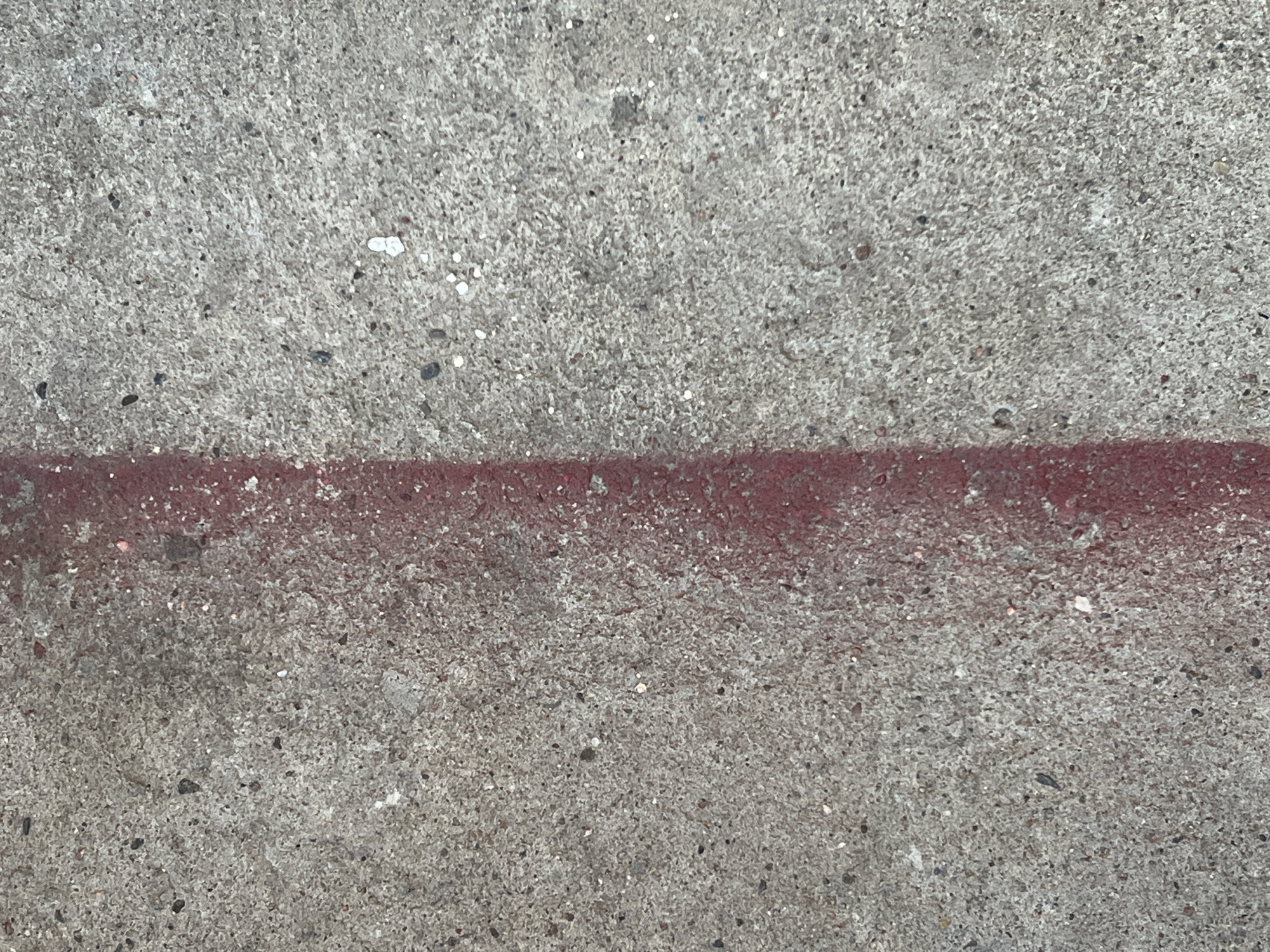 The image is a close-up, top-down view of a concrete surface with a red line painted vertically down the center. The concrete is rough and textured, with visible aggregate and small dark and white speckles. The red line is not perfectly straight and appears to be spray-painted. The background is consistent throughout the image, with no discernible features beyond the concrete and the red line. The location in the city of Ladozhskoe Ozero, Russia, is not visually discernible from the image content alone.