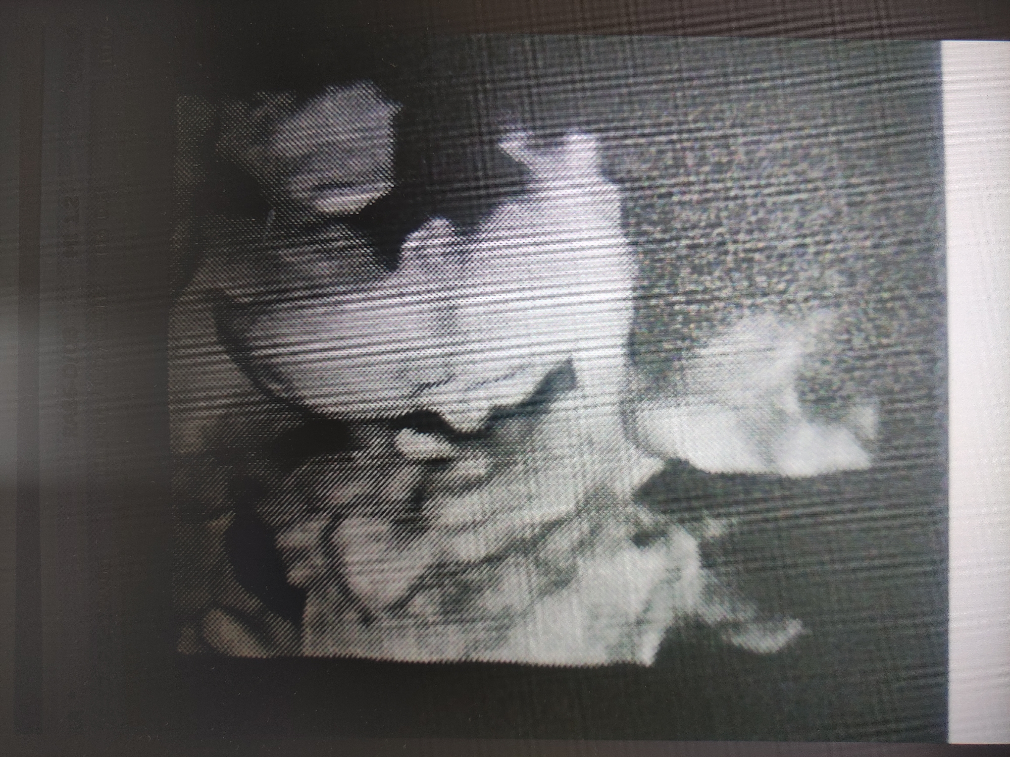 This image appears to be a low-resolution scan or photograph of an ultrasound image. It's difficult to make out precise details, but the overall shape suggests a human fetus inside the womb. Specific details of the fetus's anatomy or position are unclear due to the image quality. There is no contextual information in the image to suggest any location, including Tbilisi, Georgia. The scan has an area with the text RAB5-D/CS ML 1.2. The rest of the screen in the image looks like static noise and is black and white.