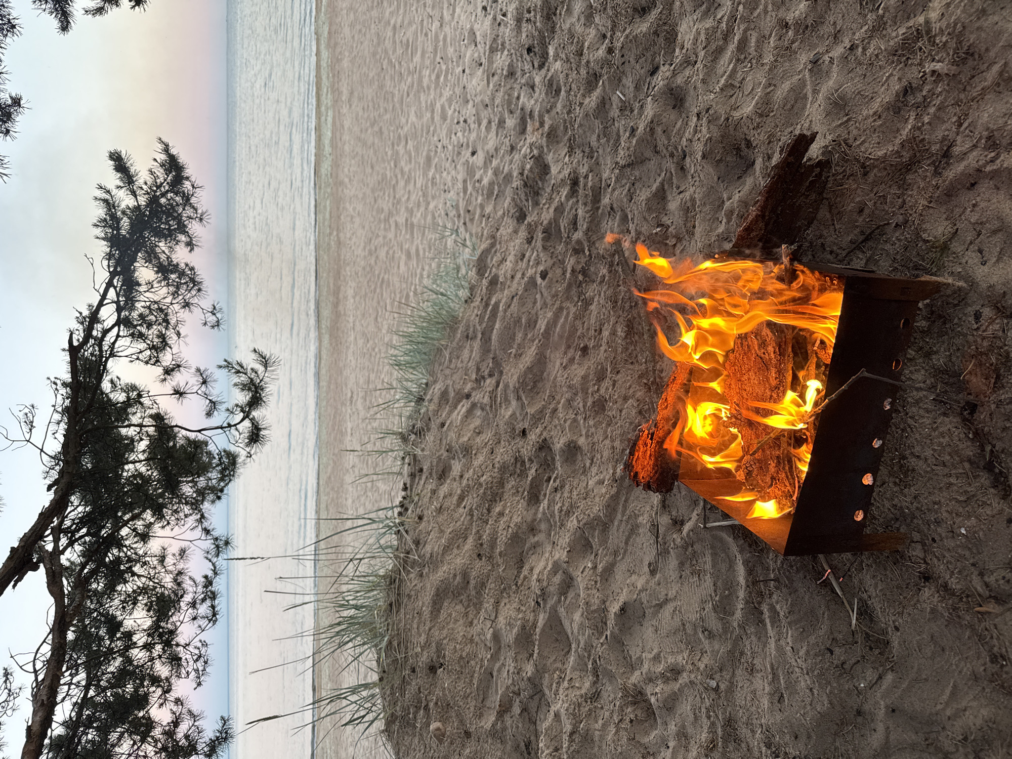 A portable metal grill filled with burning logs and vibrant orange flames sits on a sandy beach in Zelenaya Roshcha, Russia. The grill is positioned in the foreground, with the sand stretching out behind it. In the background, the calm, grayish-blue water of a large body of water meets a sandy shore. A gentle slope of sand covered with sparse grass is visible to the left of the grill. Overhanging the scene from the top are the dark silhouettes of pine tree branches. The sky above is a pale, soft gradient of blue and pink, suggesting either dawn or dusk. The overall atmosphere is tranquil and serene.