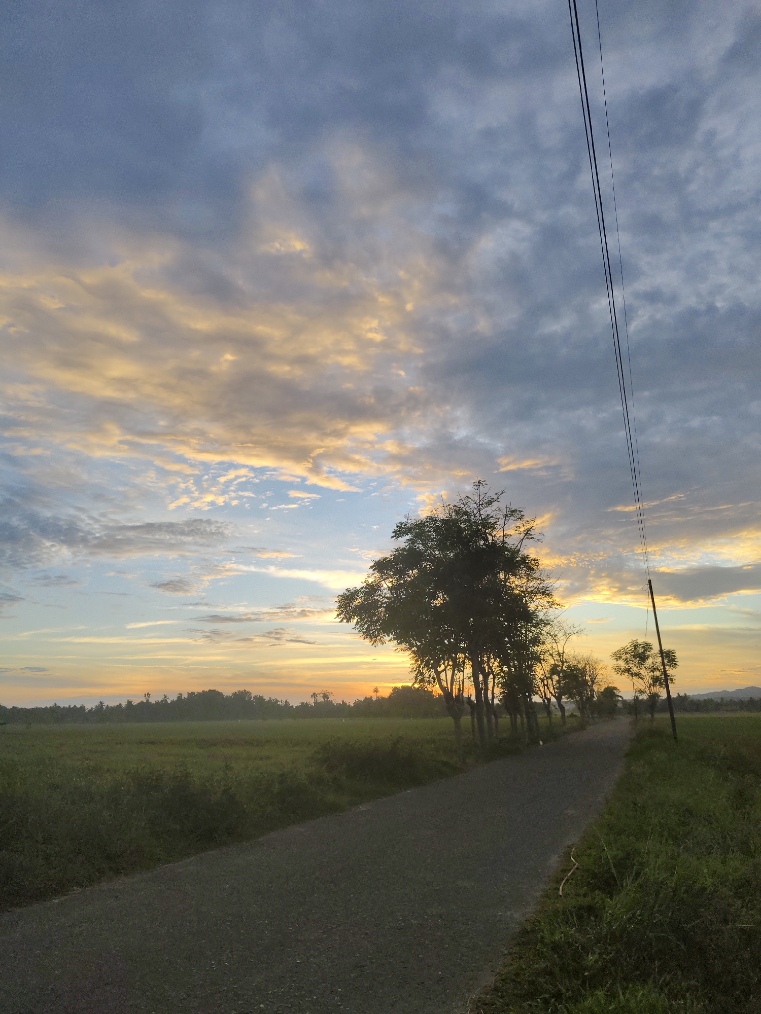 The image depicts a rural landscape in Meunasahalue, Indonesia at dawn or dusk. An asphalt road stretches into the distance, flanked by fields of green vegetation, likely rice paddies. A line of trees is situated along the road, casting silhouettes against the horizon where the sun is rising or setting. The sky is filled with clouds, displaying a gradient of colors from gray to blue, with hints of orange and yellow. Power lines extend across the upper right portion of the frame. There are no people visible.