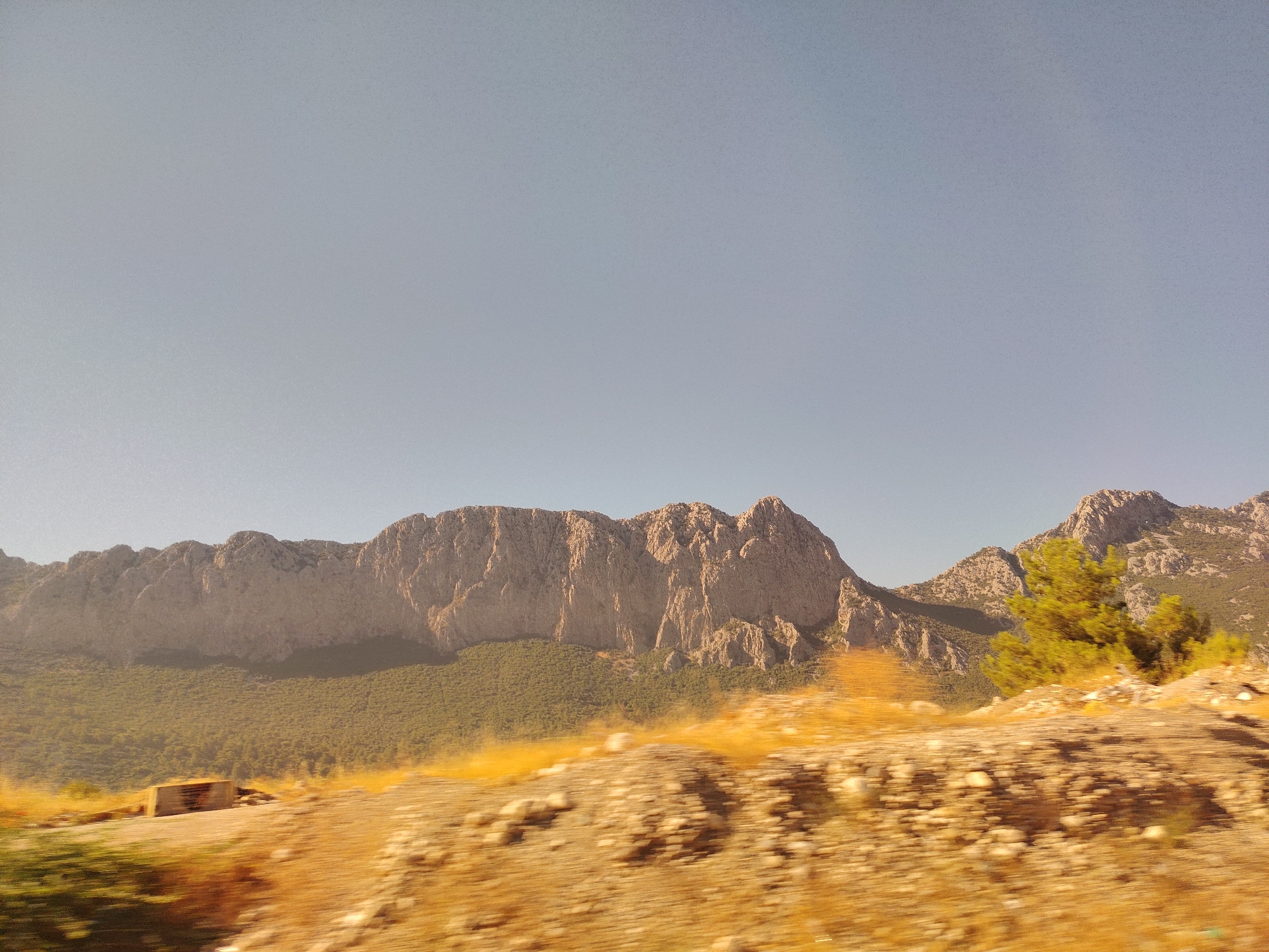 The image depicts a vast, rocky mountain range with a clear, pale blue sky overhead. The foreground is dominated by a dry, rocky terrain with patches of yellowed grass and some blurred green vegetation, suggesting movement or a slightly out-of-focus perspective. A small, rectangular structure made of concrete or stone is visible in the lower left quadrant of the frame. The middle ground features a dense, green forested slope leading up to the imposing, rugged mountains. A solitary green tree stands out on the right side of the image, against the backdrop of the rocky peaks. The overall scene conveys a natural, somewhat arid mountainous landscape. The context provided places this scene in Konyaaltı, Turkey, a coastal district known for its natural beauty and mountainous terrain.