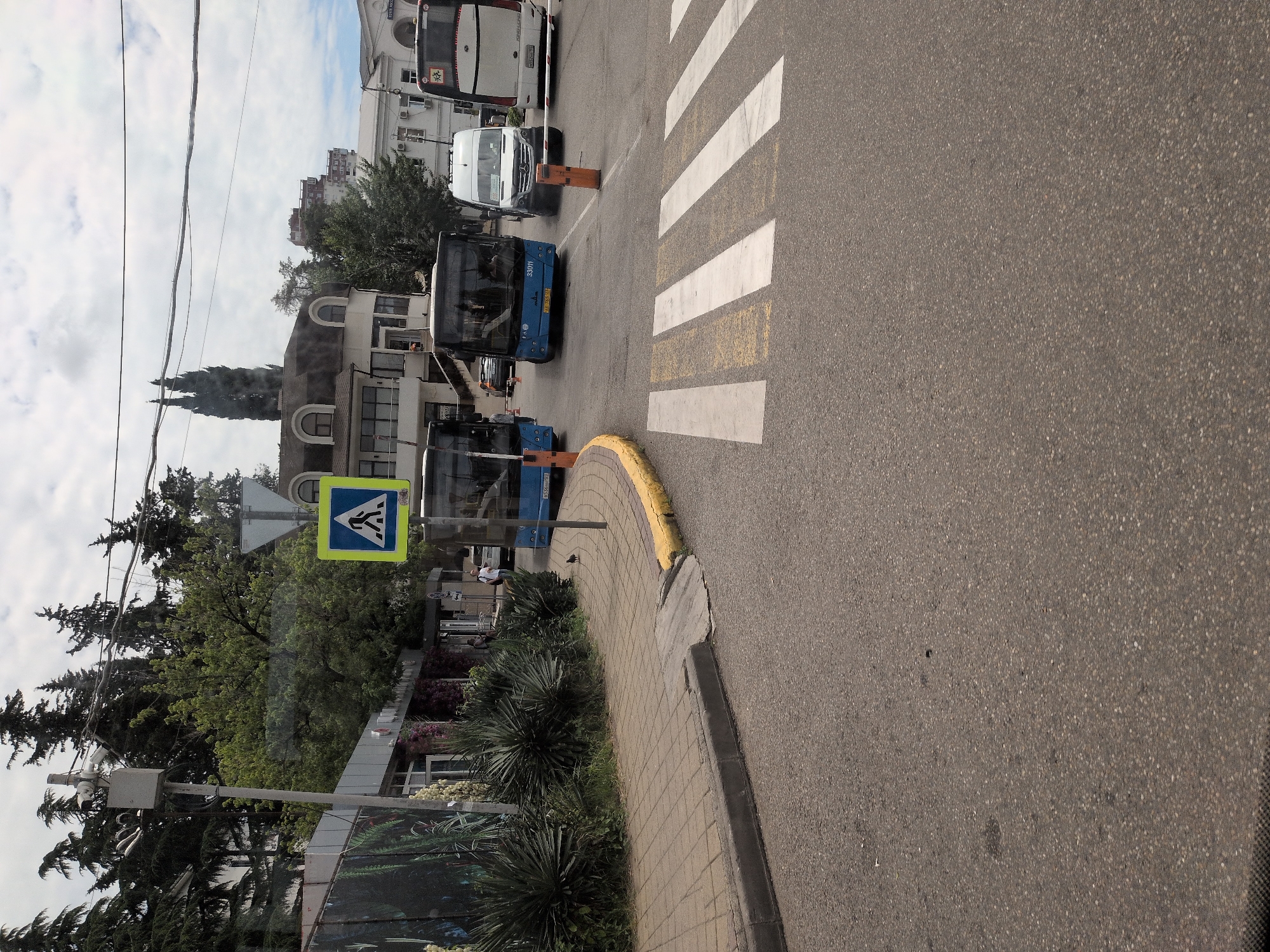 The image depicts a street scene in Sochi, Russia, featuring a pedestrian crossing marked by white and yellow stripes on asphalt. Several vehicles are present, including two blue buses, a white van, and a white bus. The blue buses have their numbers visible: one shows "33011" and the other "123". The white van has a license plate visible. In the background, there are buildings with arched windows and a taller modern building. Lush green trees, including cypress trees, line the street, and a pedestrian crossing sign is prominently displayed. A grey lamppost with cameras is also visible. The overall environment suggests a daytime scene under a cloudy sky.