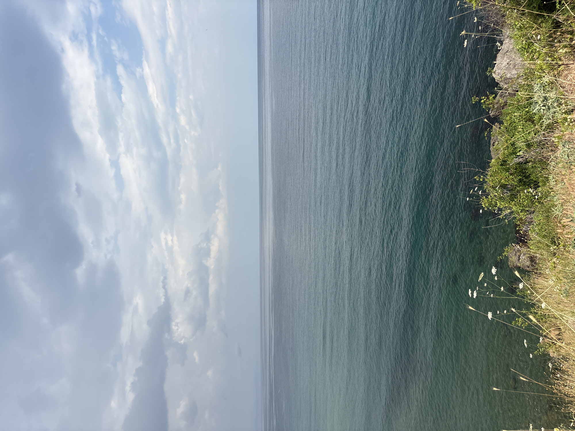 A high-angle, full shot captures a vast expanse of the sea under a cloudy sky. The water transitions from a clear, lighter turquoise near the shore to a deep, dark blue in the distance. The horizon line is sharp, dividing the sea from the sky, which is dominated by heavy, grey clouds with patches of lighter sky peeking through. In the foreground, a grassy cliff overlooks the water, with dry grass stalks and a few small white flowers growing on its edge. Rocks are visible along the cliff face where vegetation is more dense. The scene appears to be a coastal landscape in Bondarenkovo, Ukraine.