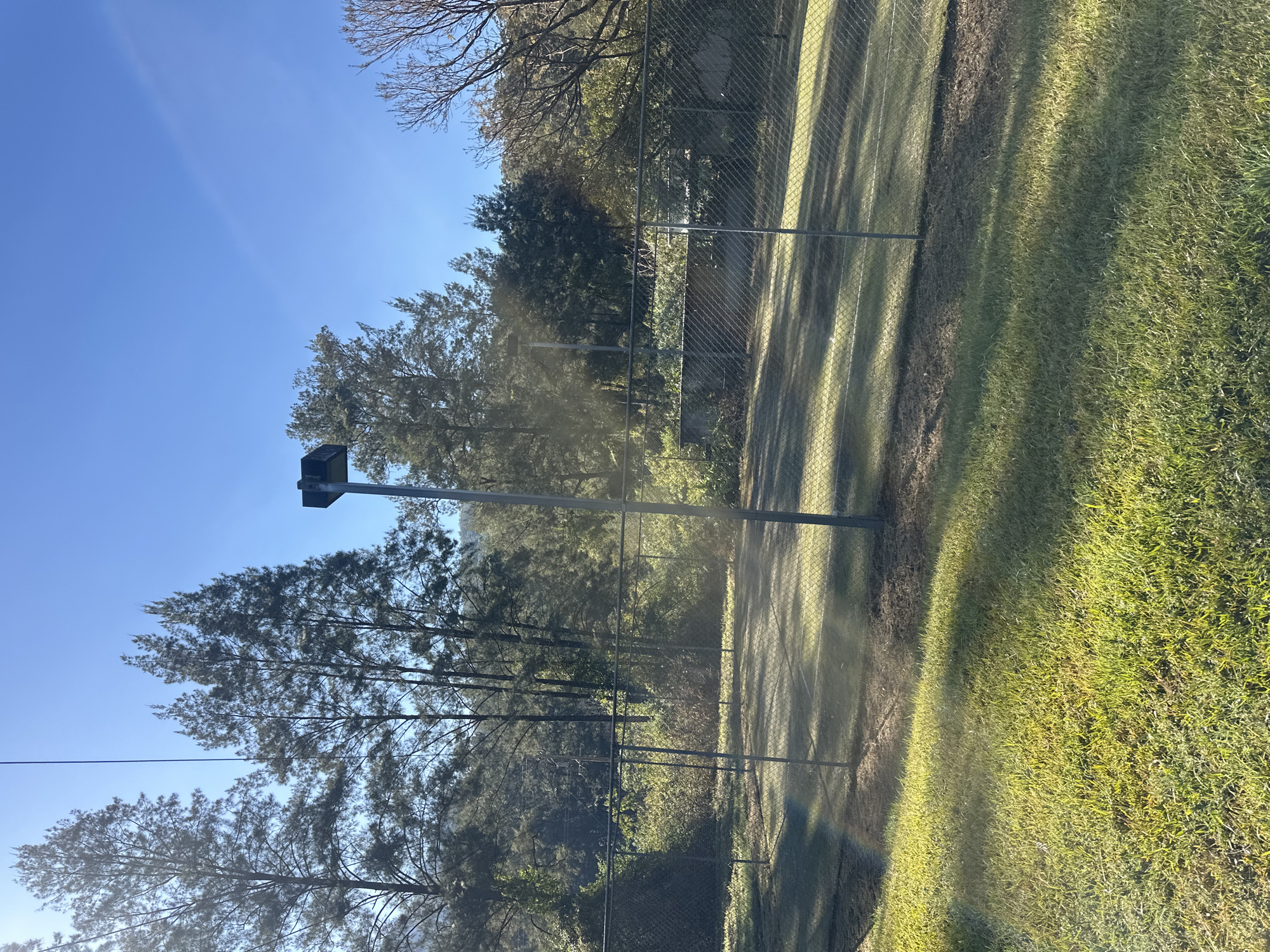 The image shows a chain-link fence surrounding a tennis court. Sunlight casts shadows across the court and the grassy area in front of it. Tall trees with green foliage are visible in the background, and a clear blue sky is above. A metal pole with a light fixture on top stands to the left of the fence. The scene appears to be a tennis court located outdoors in a natural setting, possibly in or near Thora, Australia, given the presence of tall trees and lush vegetation under a clear sky.