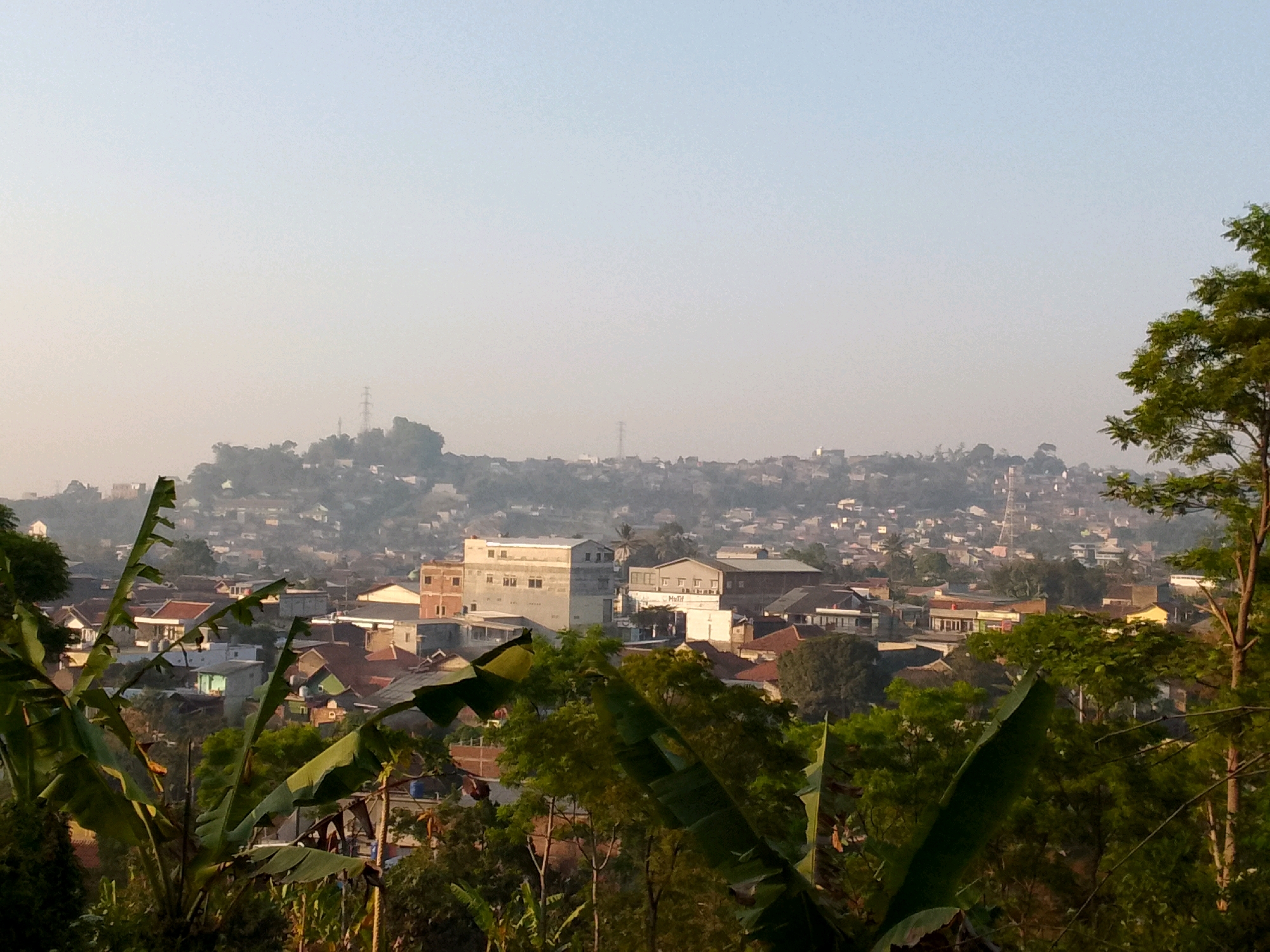The image captures a panoramic view of a dense residential area nestled on a hillside in Padalarang, Indonesia, bathed in the soft light of what appears to be early morning or late afternoon. The sky is a pale, hazy blue, suggesting a slight atmospheric haze or mist.
In the foreground, lush green foliage, including large banana leaves and other tropical plants, partially obscures the view of the settlement. The leaves are vibrant and well-lit, indicating they are closer to the camera.
Beyond the foliage, the mid-ground and background reveal a sprawling town characterized by a multitude of buildings. These structures are a mix of houses and commercial buildings, many with reddish-brown tile roofs, common in Indonesian architecture. Some larger, more modern buildings with lighter colored facades are visible, standing out against the more traditional rooftops. The buildings are tightly packed together, cascading down the undulating terrain of the hillside.
Further in the distance, more distant hills are visible, also dotted with houses, creating a layered effect. A prominent transmission tower stands on one of the higher hills in the background, a common landmark in urban and semi-urban landscapes.
The overall impression is one of a vibrant, lived-in community situated within a hilly, tropical environment. No people are directly visible in the frame, and there are no discernible actions or interactions occurring. The scene is static, focusing on the built environment and the natural landscape. The lighting suggests a calm, quiet moment in time.