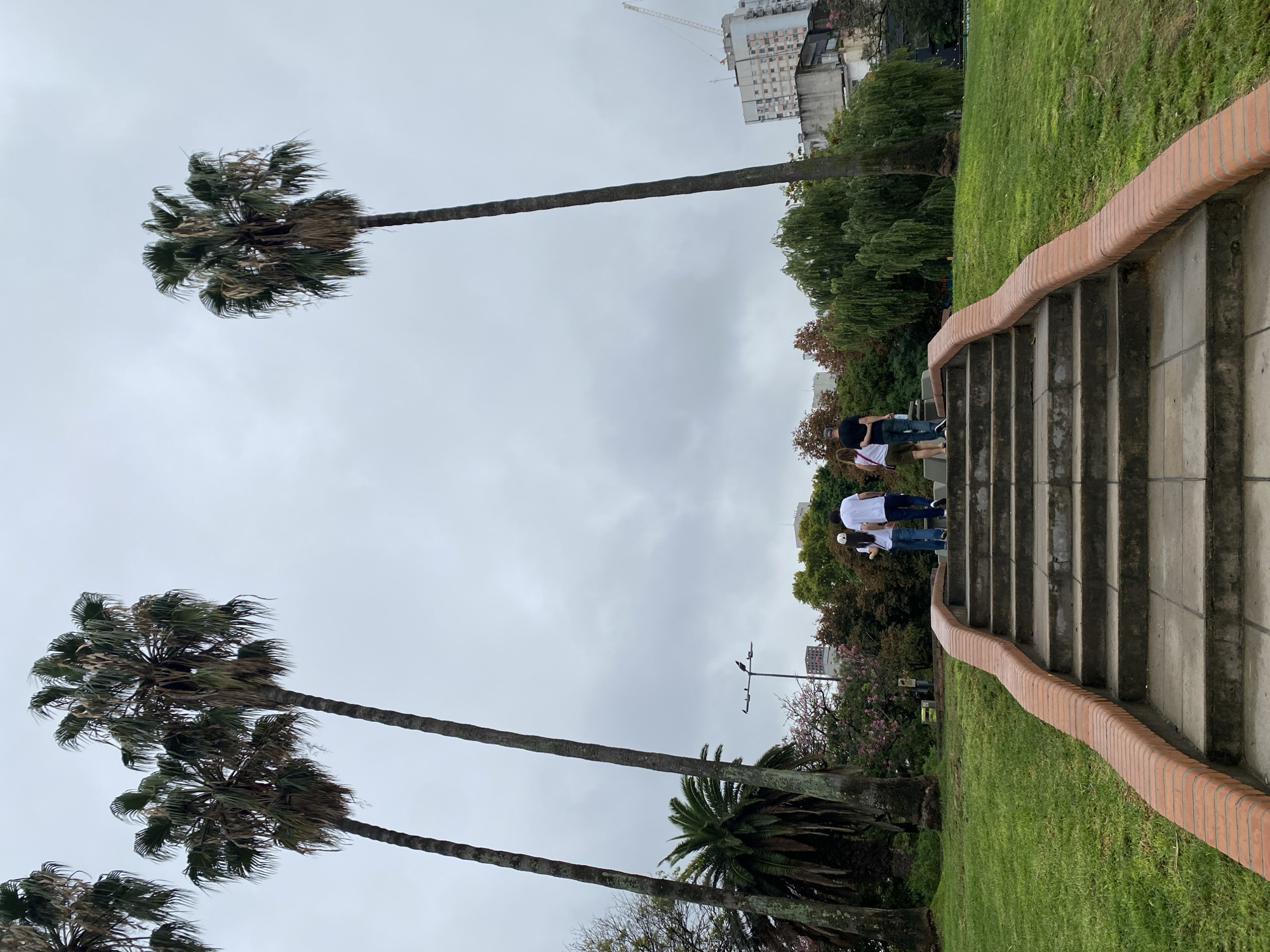 The image shows a park in Buenos Aires, Argentina, likely Parque Lezama, on an overcast day. Two tall palm trees dominate the left side of the frame. To the right, a set of concrete stairs with a brick border rises through a grassy area. Several people are walking up the stairs. In the background, buildings can be seen.