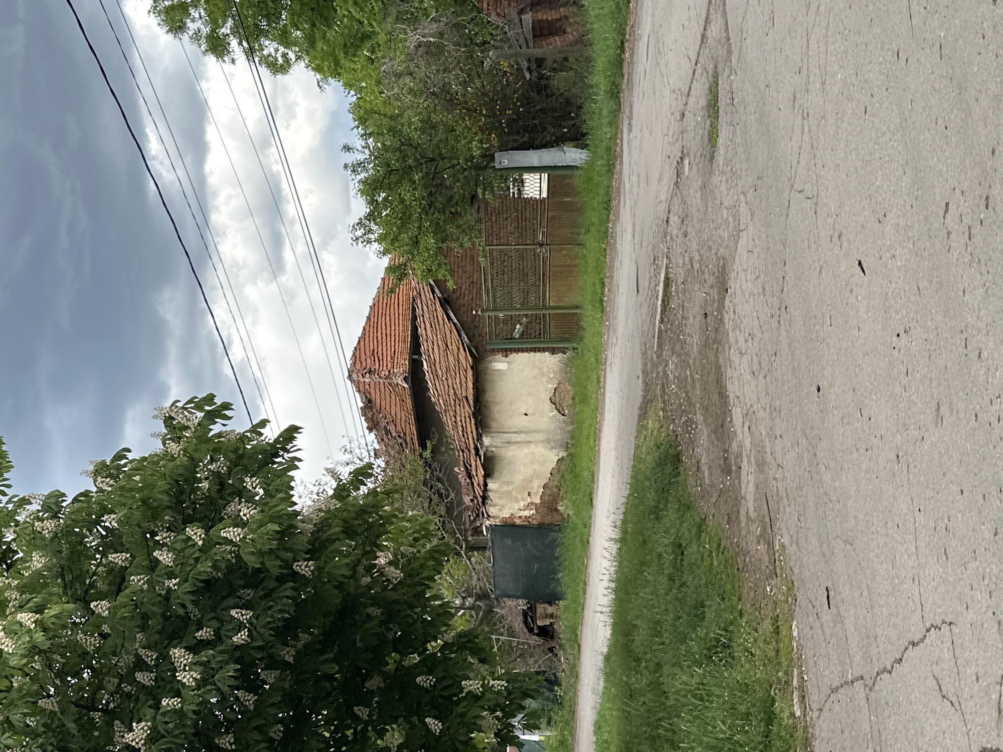 The image shows a street scene in Zhiten, Bulgaria. A narrow asphalt road runs vertically through the frame, cracked and showing signs of wear. To the left, a mature tree with white blossoms partially obscures a dilapidated building with a red tile roof that appears to be in disrepair. The building's facade is crumbling, exposing brickwork in sections. A green metal gate encloses part of the property, with a brick structure visible behind it. Overhead, electrical wires stretch across the sky, which is overcast with dark, ominous clouds. The roadside is lined with green grass and vegetation. The overall impression is one of decay and neglect within a rural or semi-rural setting.