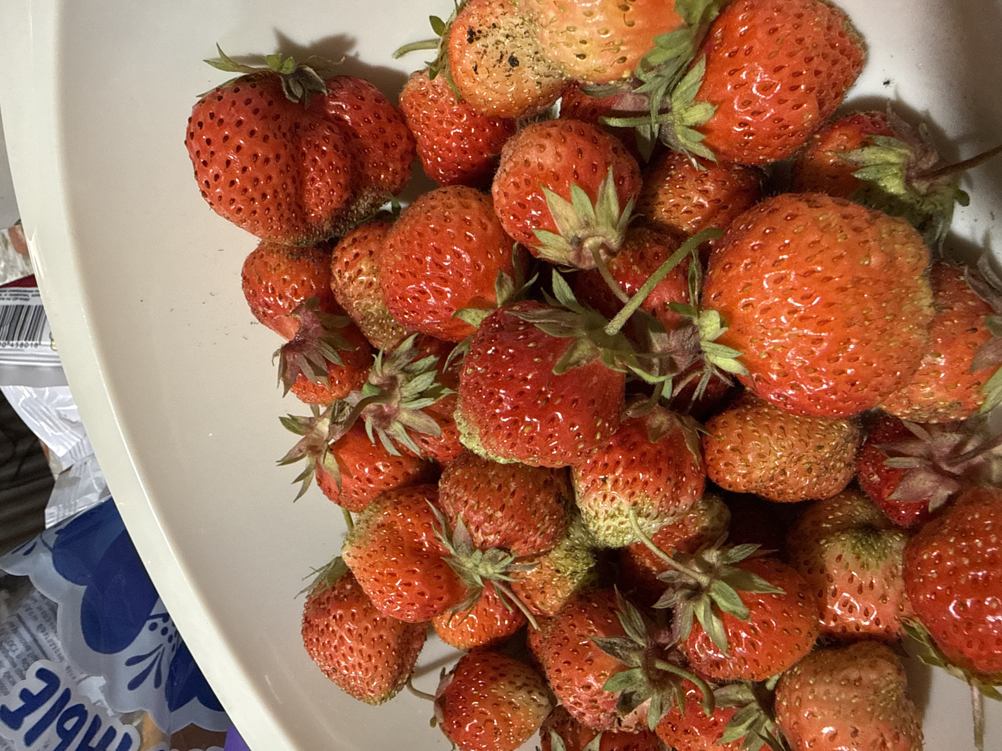 The image shows a close-up, overhead view of a pile of ripe strawberries in a white bowl. The strawberries are a vibrant red with some lighter, yellowish-orange patches and green stems. Many of the strawberries have visible seeds, and some show signs of slight bruising or imperfections. The lighting suggests an indoor setting, possibly a kitchen, with the bowl positioned on a countertop or table. There are glimpses of packaging behind the bowl, with some text visible, though it is mostly obscured. One piece of packaging appears to be a blue and white bag with a floral pattern. The strawberries are the primary focus, filling most of the frame. The overall impression is one of fresh produce, ready for consumption or preparation. There are no people visible in the image. The scene is static, with no activity taking place. The time of day and weather are not discernible. The location context of Severnyy, Russia, is provided, but there are no visual cues in the image to confirm this specific location.
